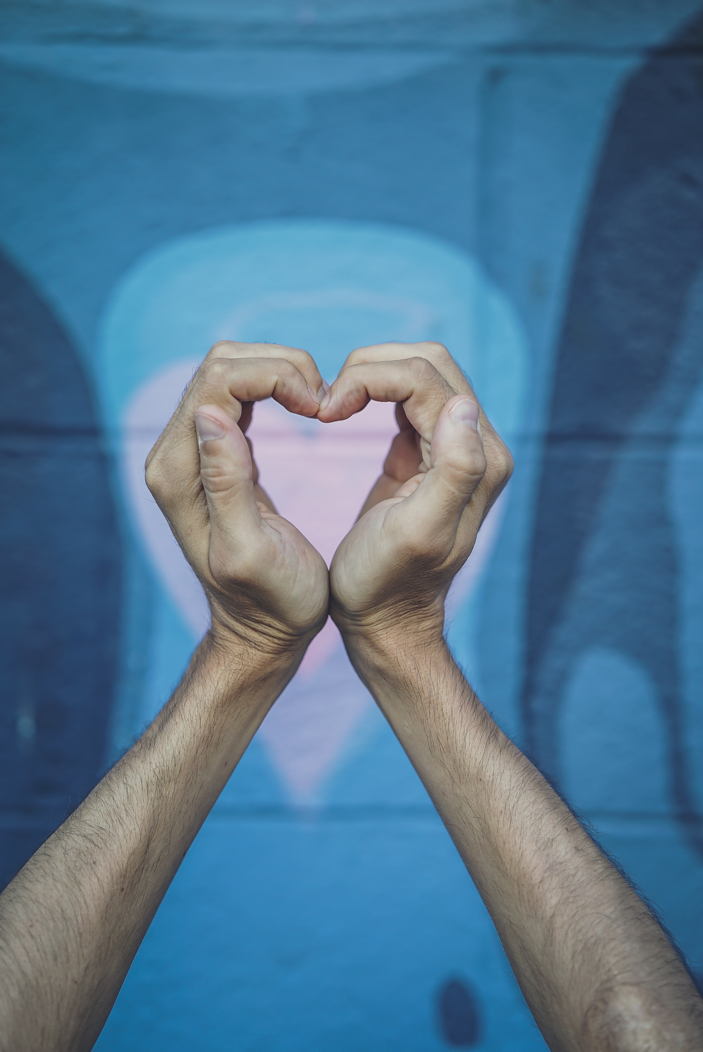 gesture, love, heart, hands Windows Mobile Wallpaper