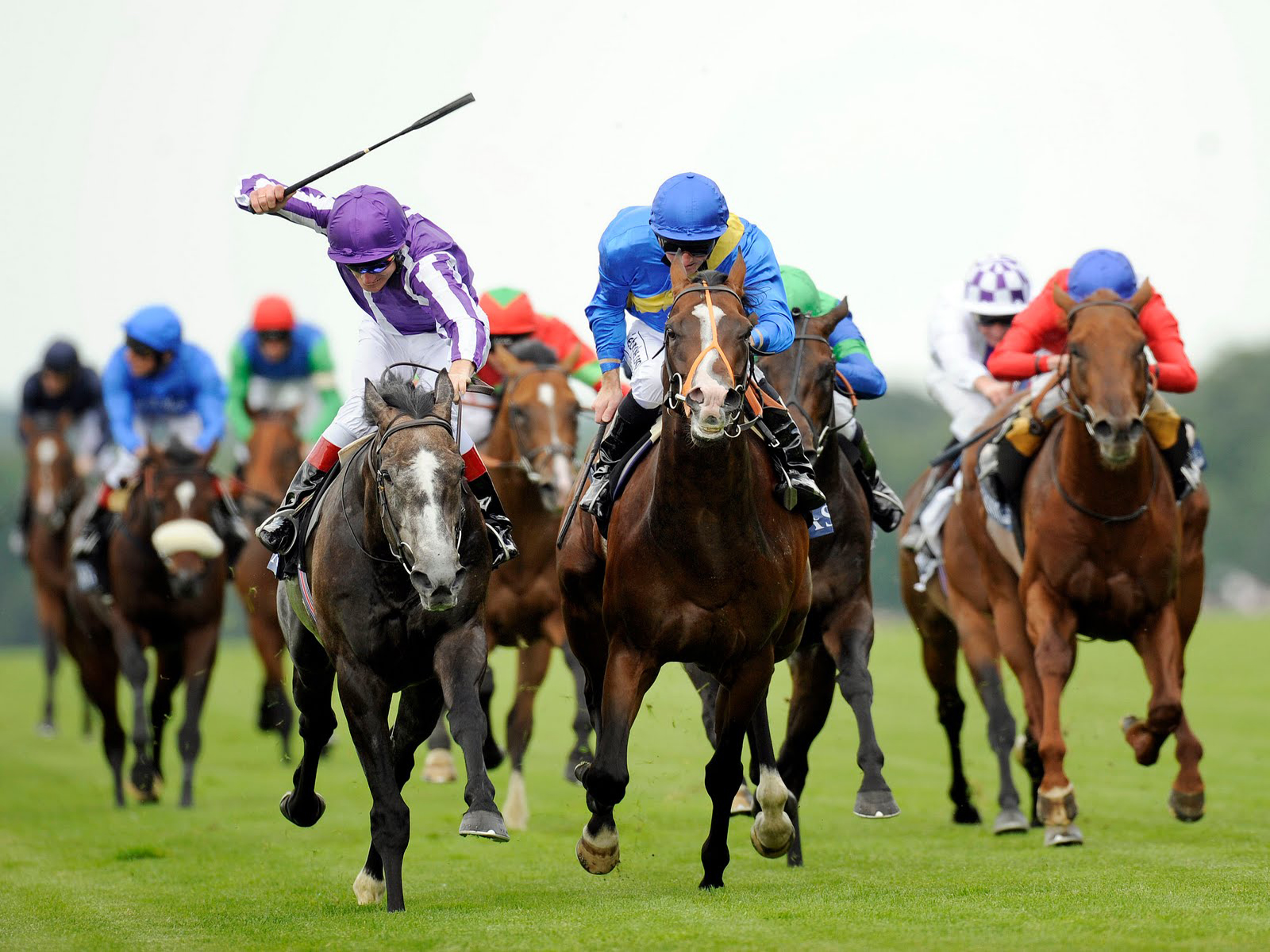 Download Horse Racing Wallpapers For Mobile Phone Free Horse Racing Hd Pictures