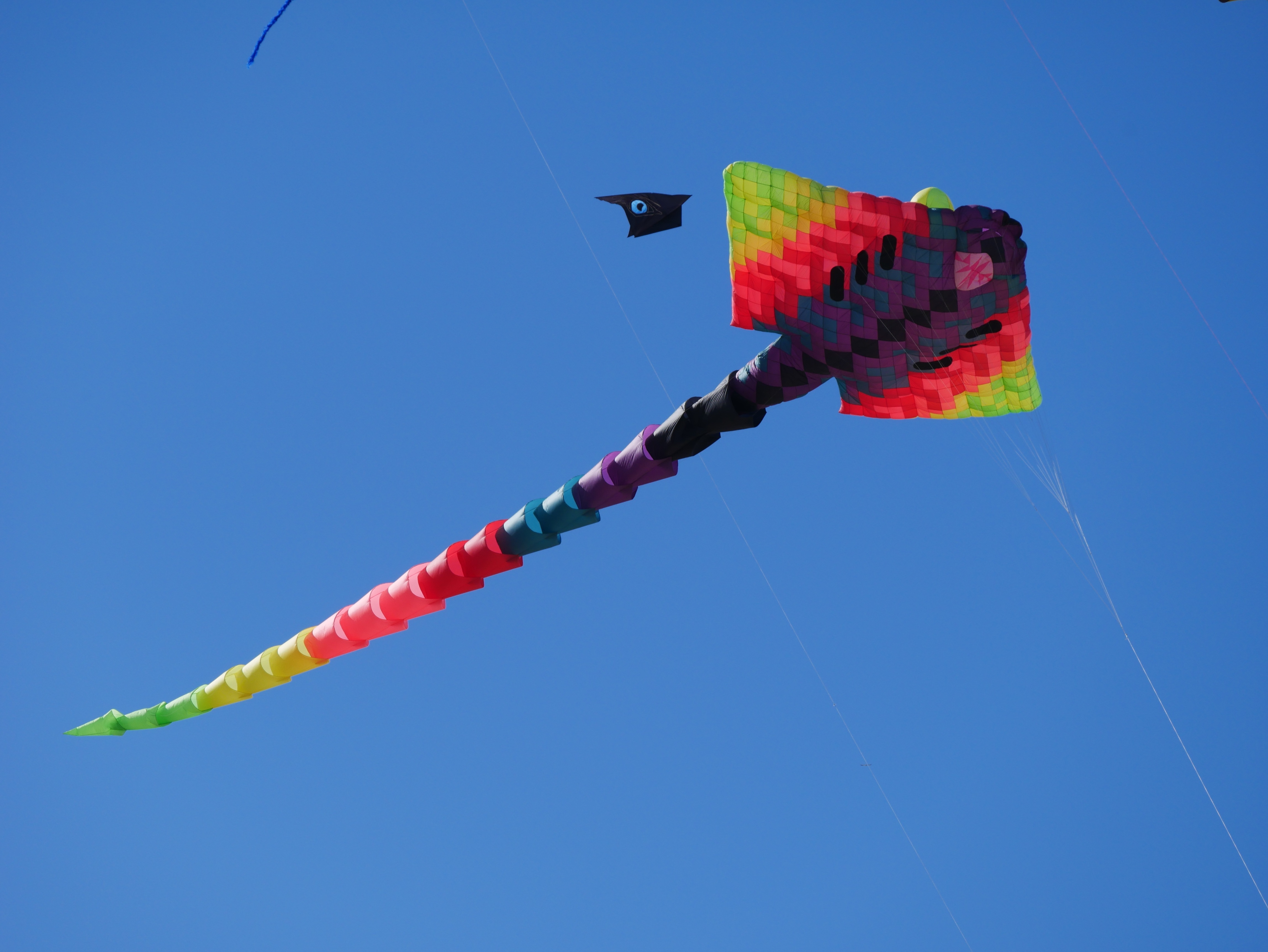 HD desktop wallpaper: Colors, Colorful, Kite, Flying, Man Made download  free picture #749296