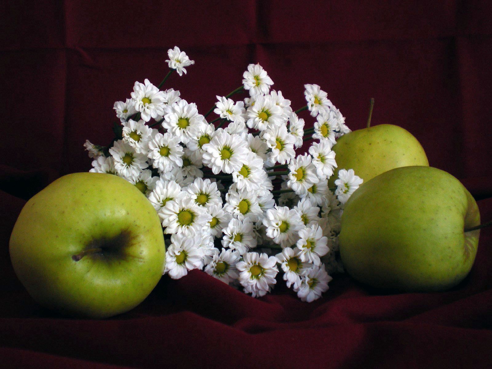 apples, fruits, flowers, food, camomile High Definition image