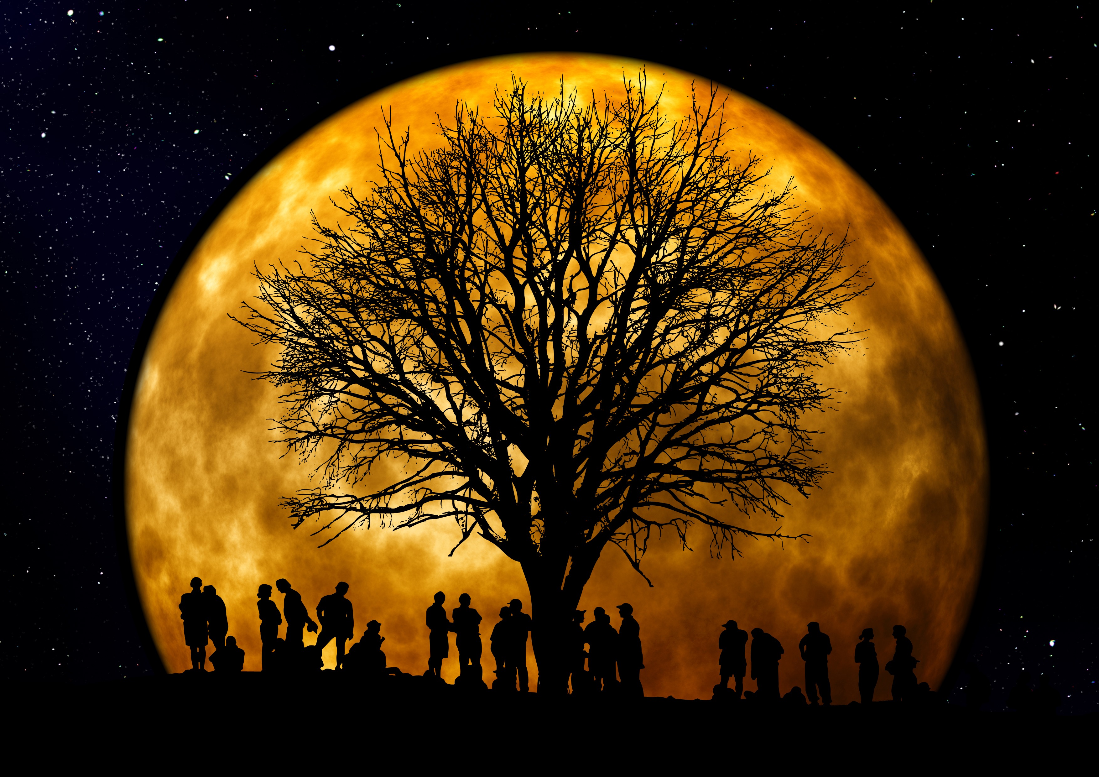 silhouettes, people, night, moon, vector, wood, tree