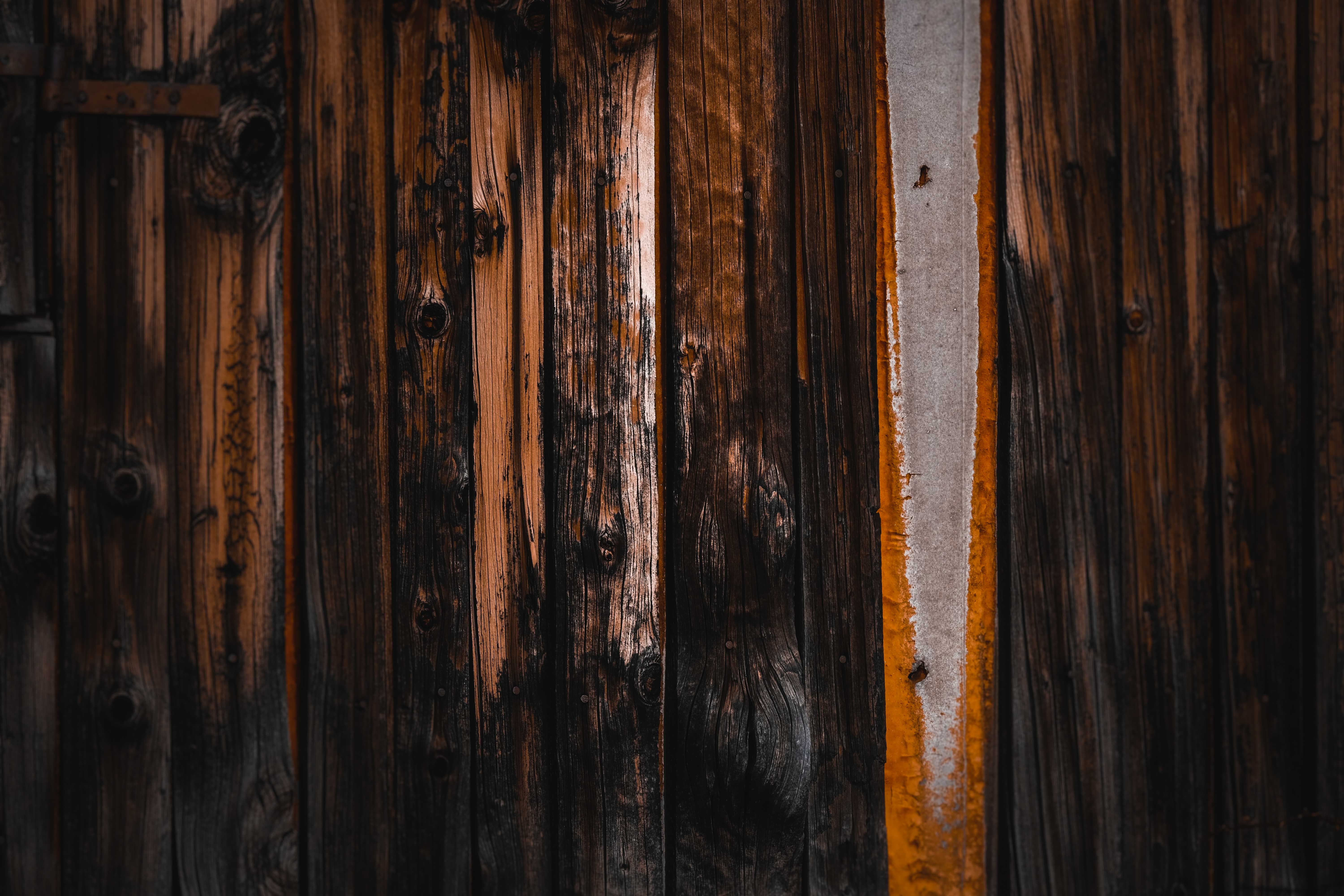 wooden, wood, tree, texture, textures, surface