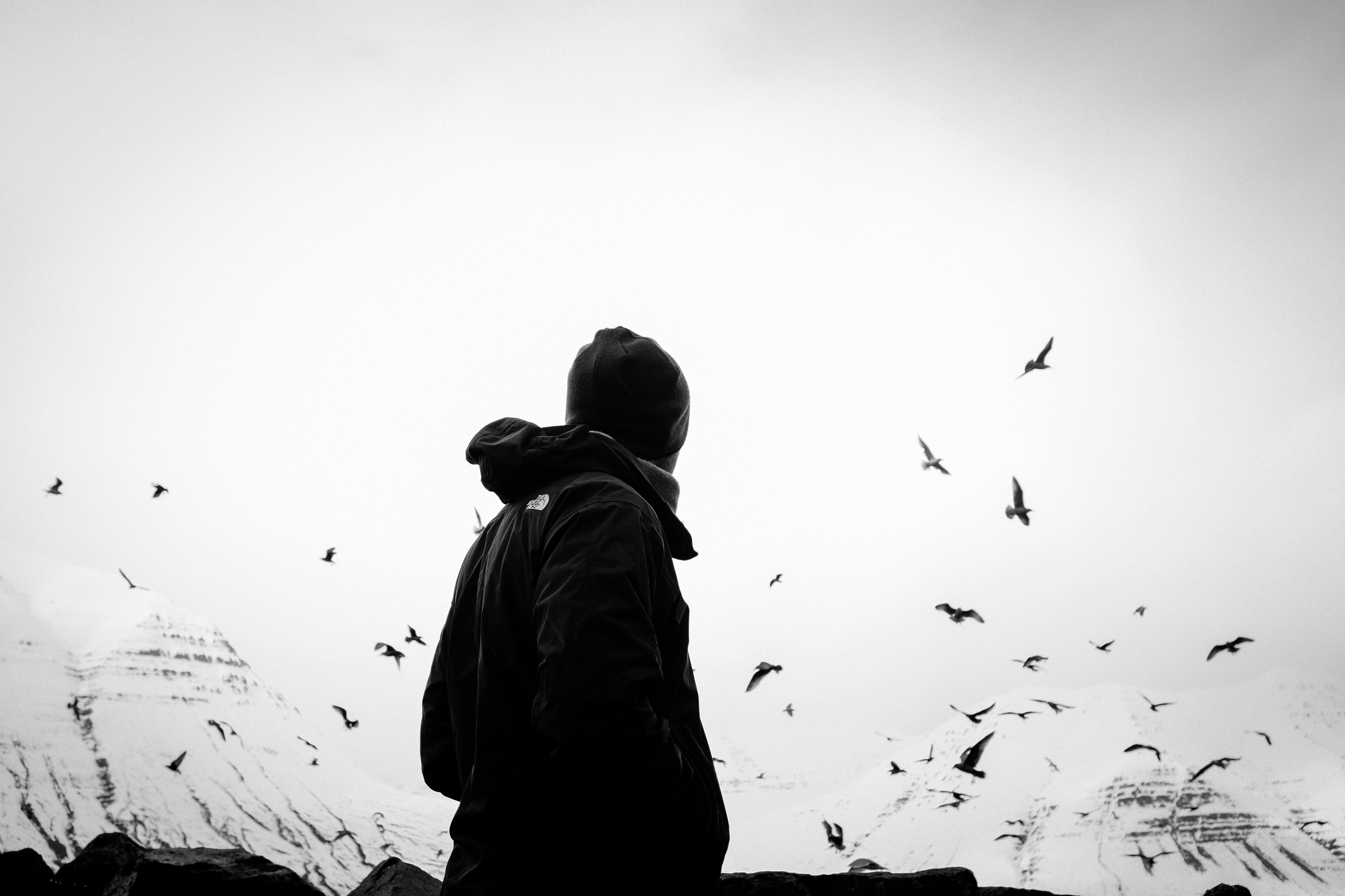 alone, birds, miscellanea, miscellaneous, bw, chb, human, person, loneliness, lonely HD wallpaper