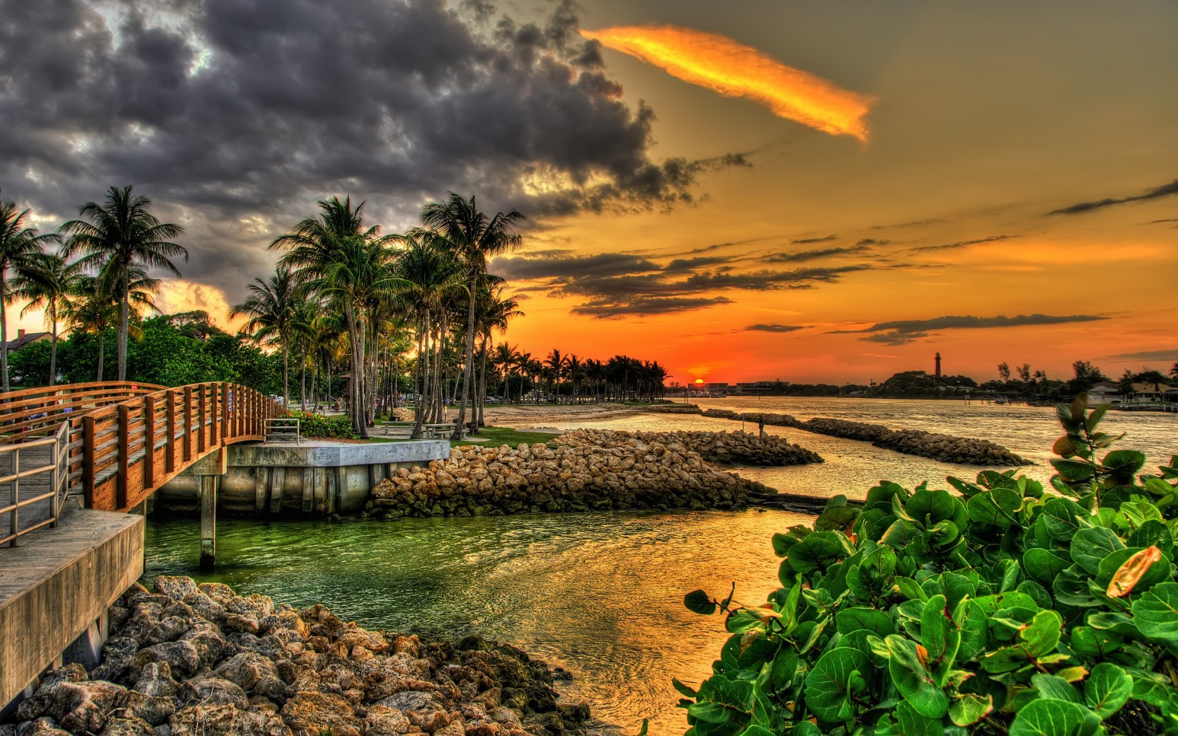 palms, landscape, sunset, sea, clouds Full HD