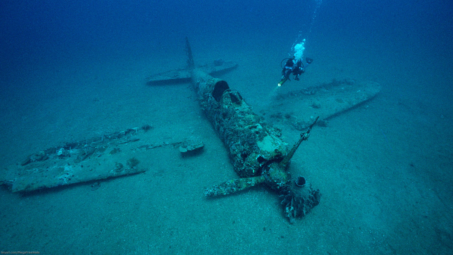 HD desktop wallpaper: Airplane, Diver, Underwater, Aircraft, Military,  Wreck, Vehicles download free picture #535015