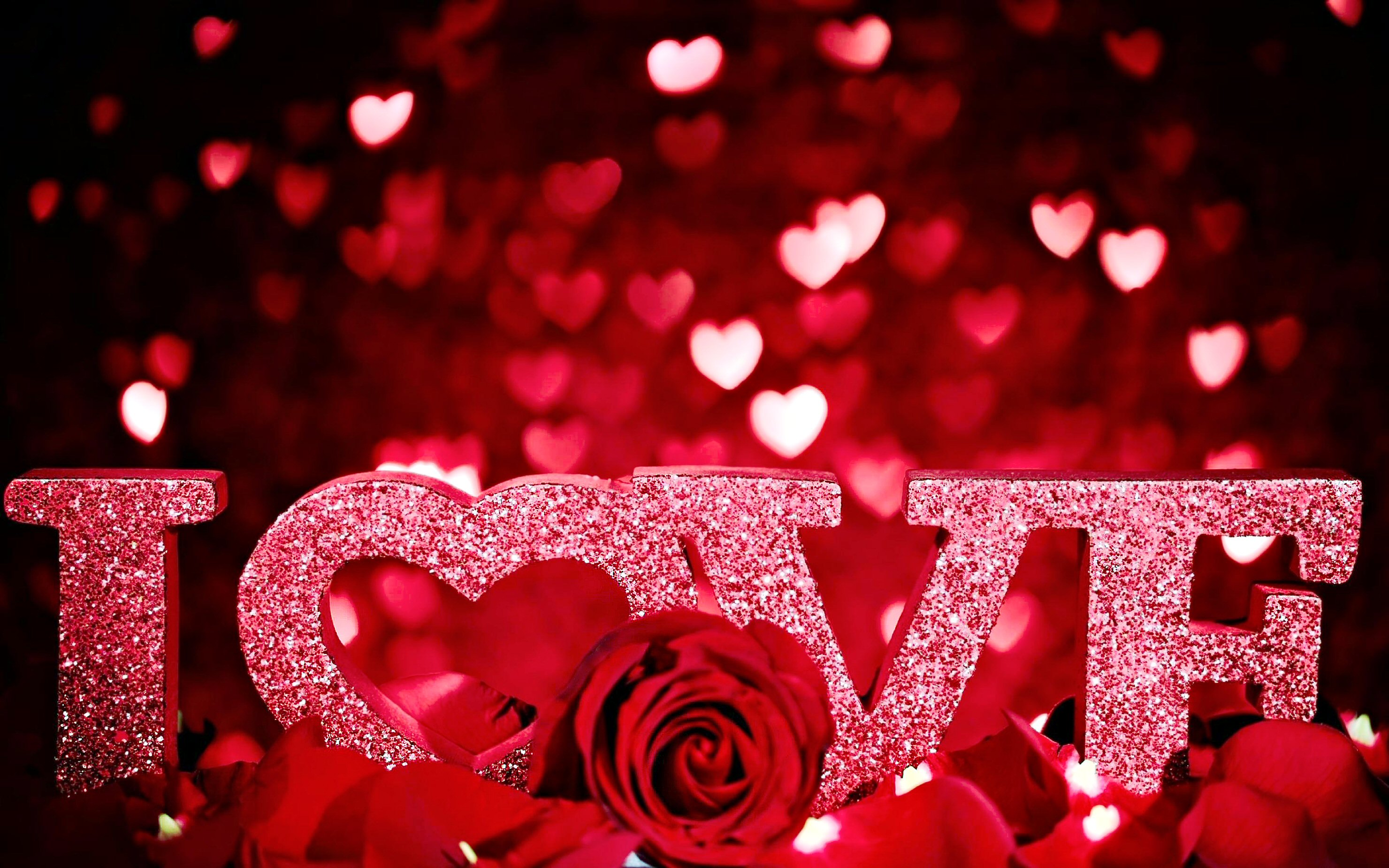 valentine's day, red, love, holiday