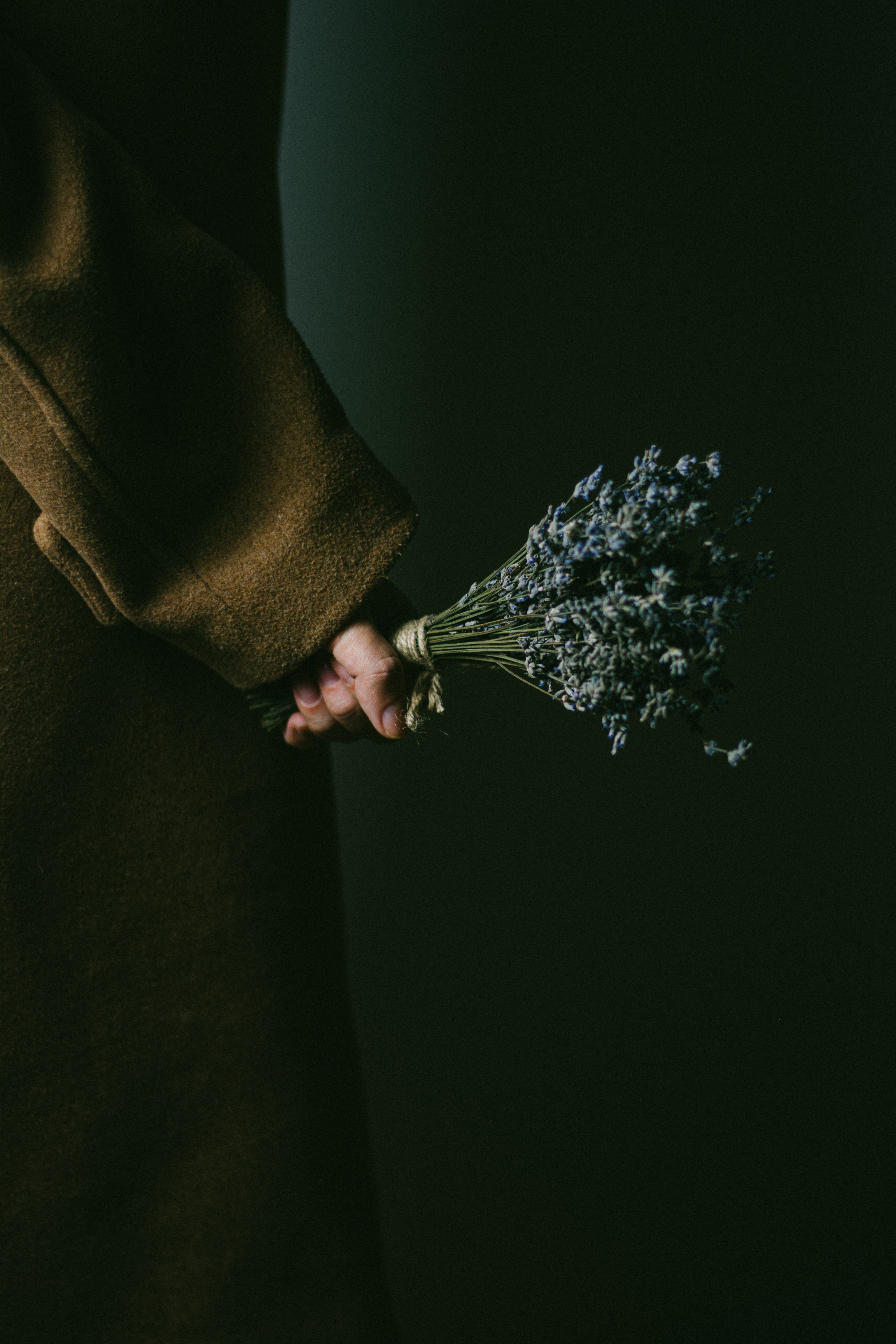 Laden Sie das Blumen, Dunkel, Hand, Strauß, Bouquet, Lavendel-Bild kostenlos auf Ihren PC-Desktop herunter