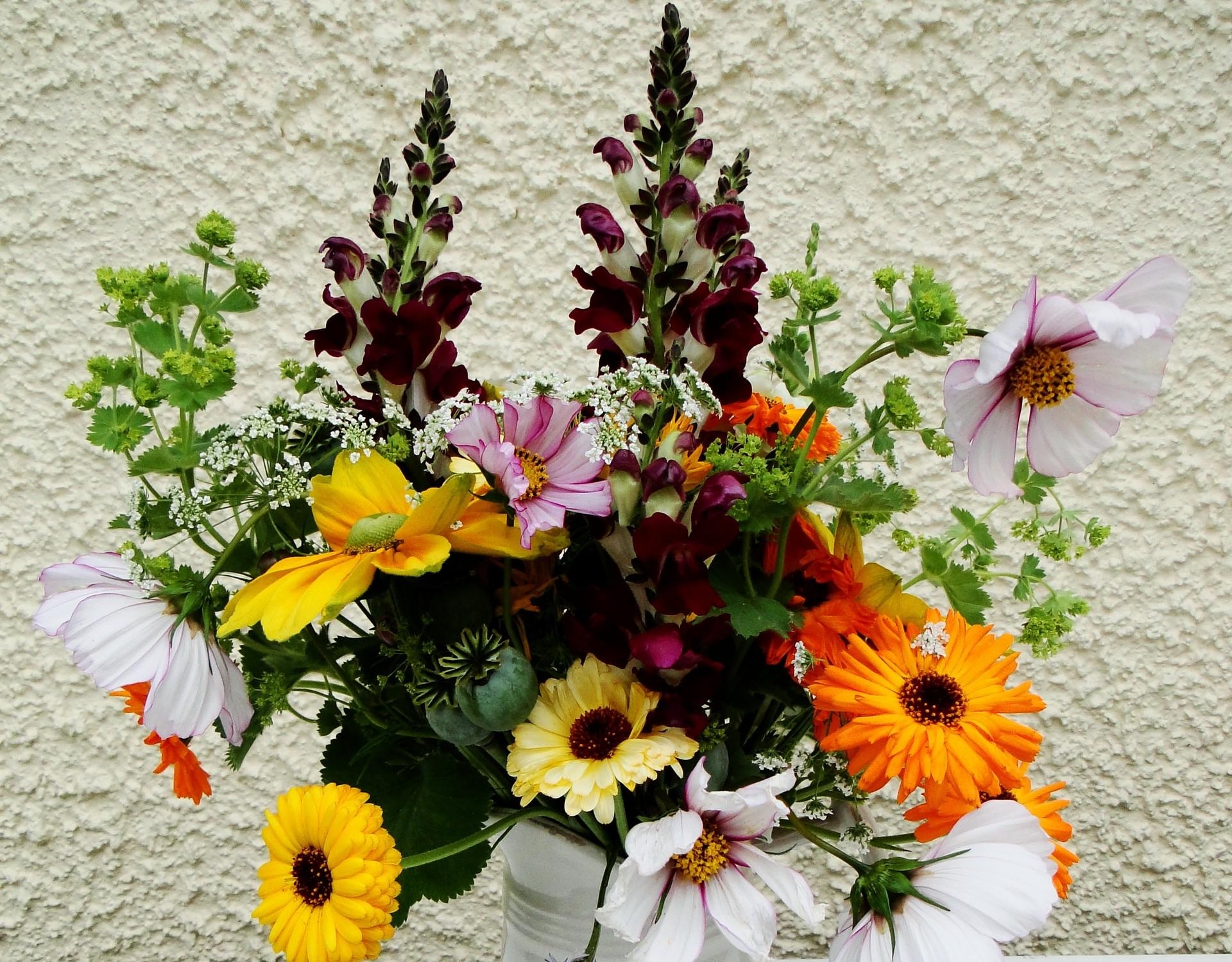 1080p pic composition, flowers, bouquet, poppy