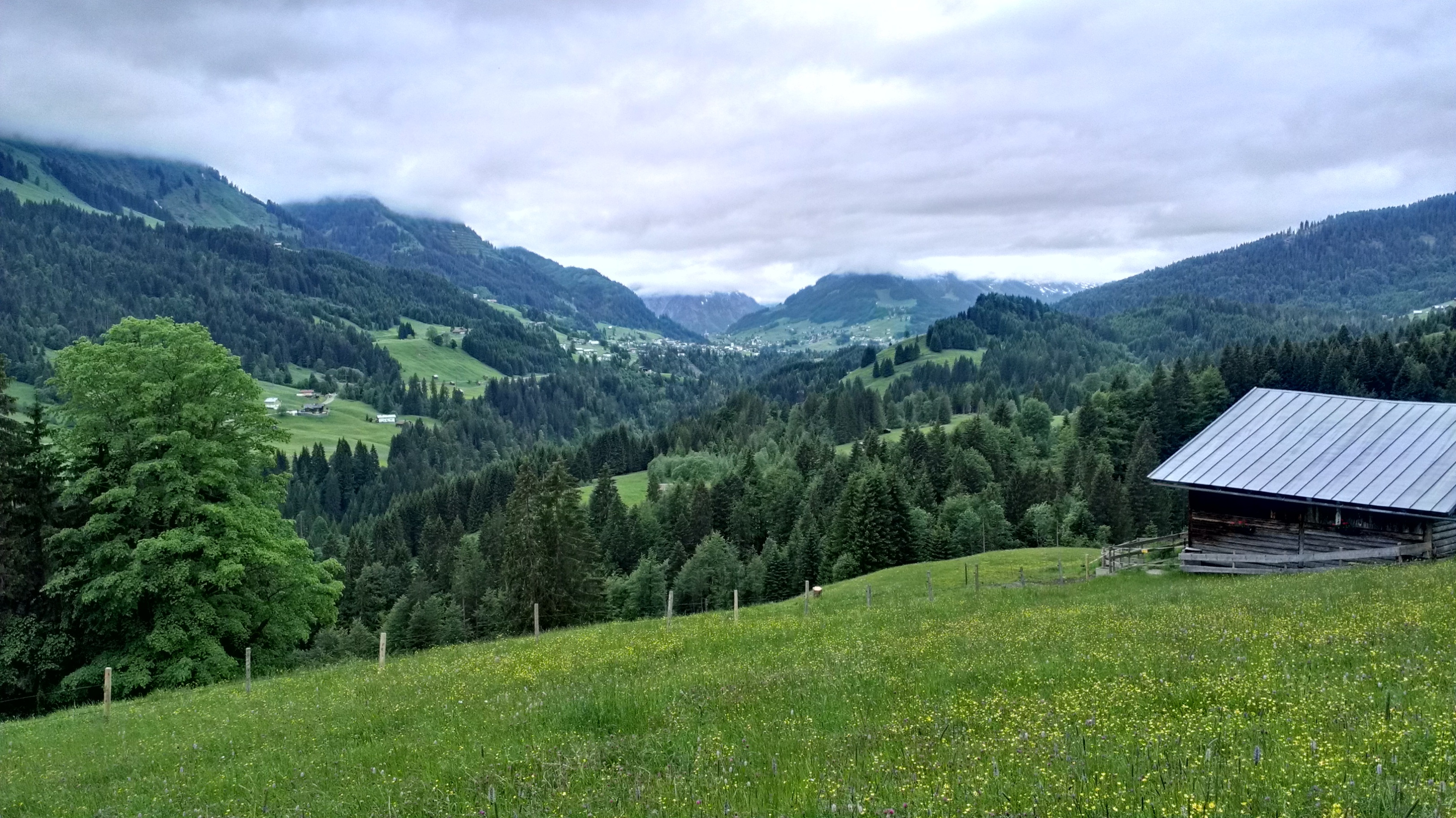 83279 Hintergrundbild herunterladen natur, grass, mountains, höhe, elevation, deutschland, allgäu, allgoy - Bildschirmschoner und Bilder kostenlos