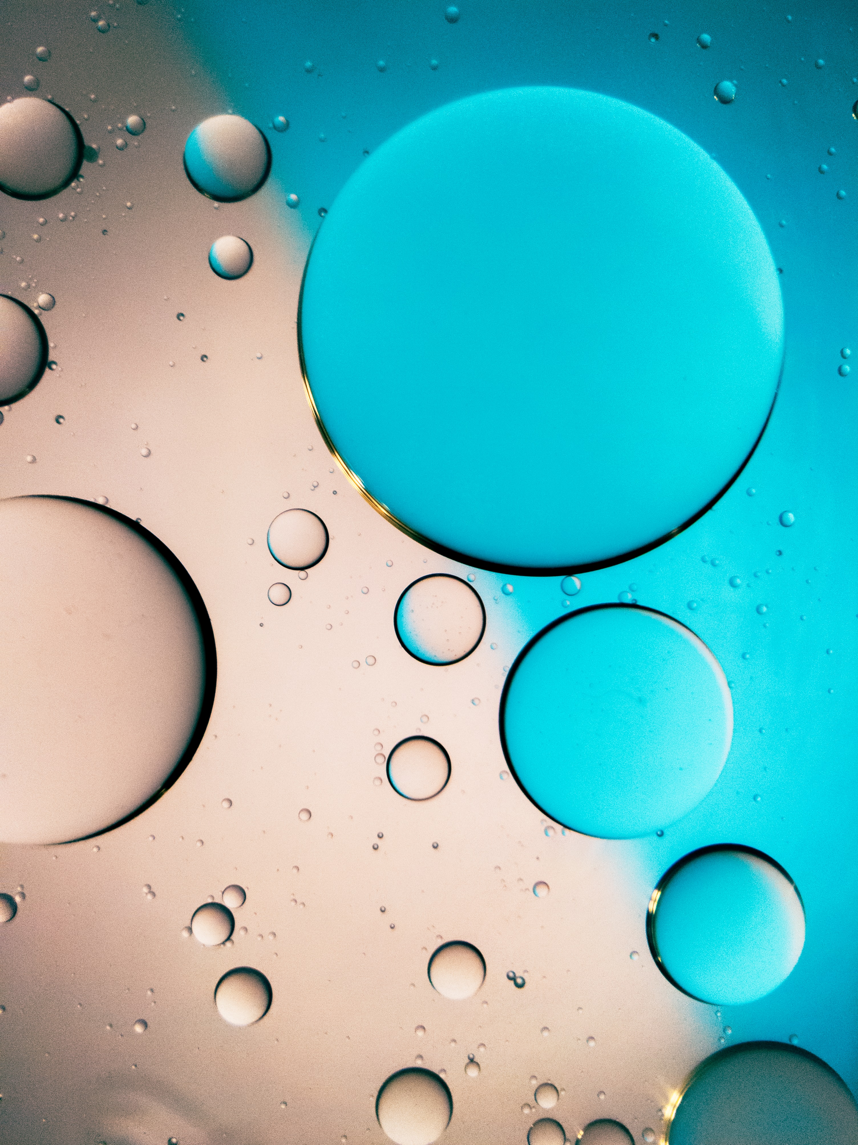 macro, drops, blue, liquid, grey High Definition image