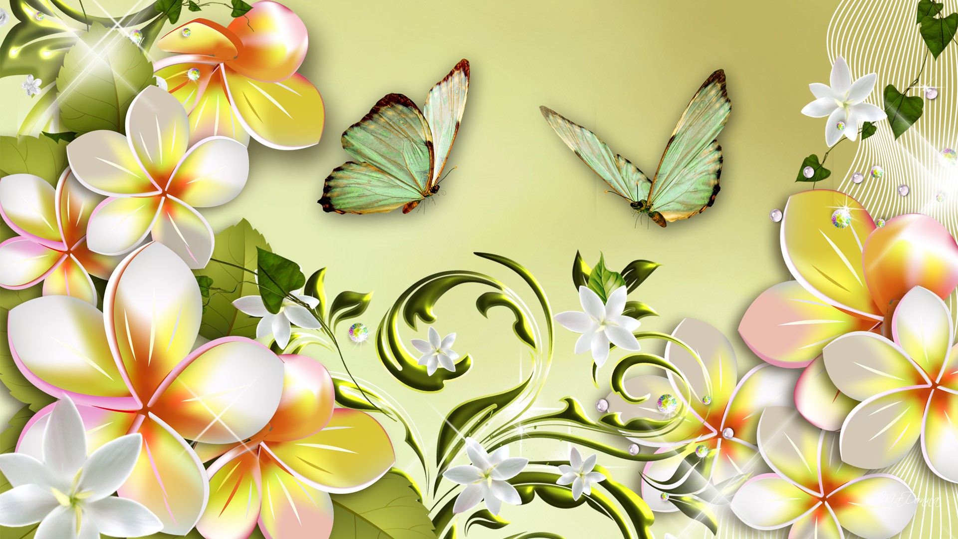 HD desktop wallpaper: Flowers, Flower, Butterfly, Artistic, Plumeria  download free picture #415071