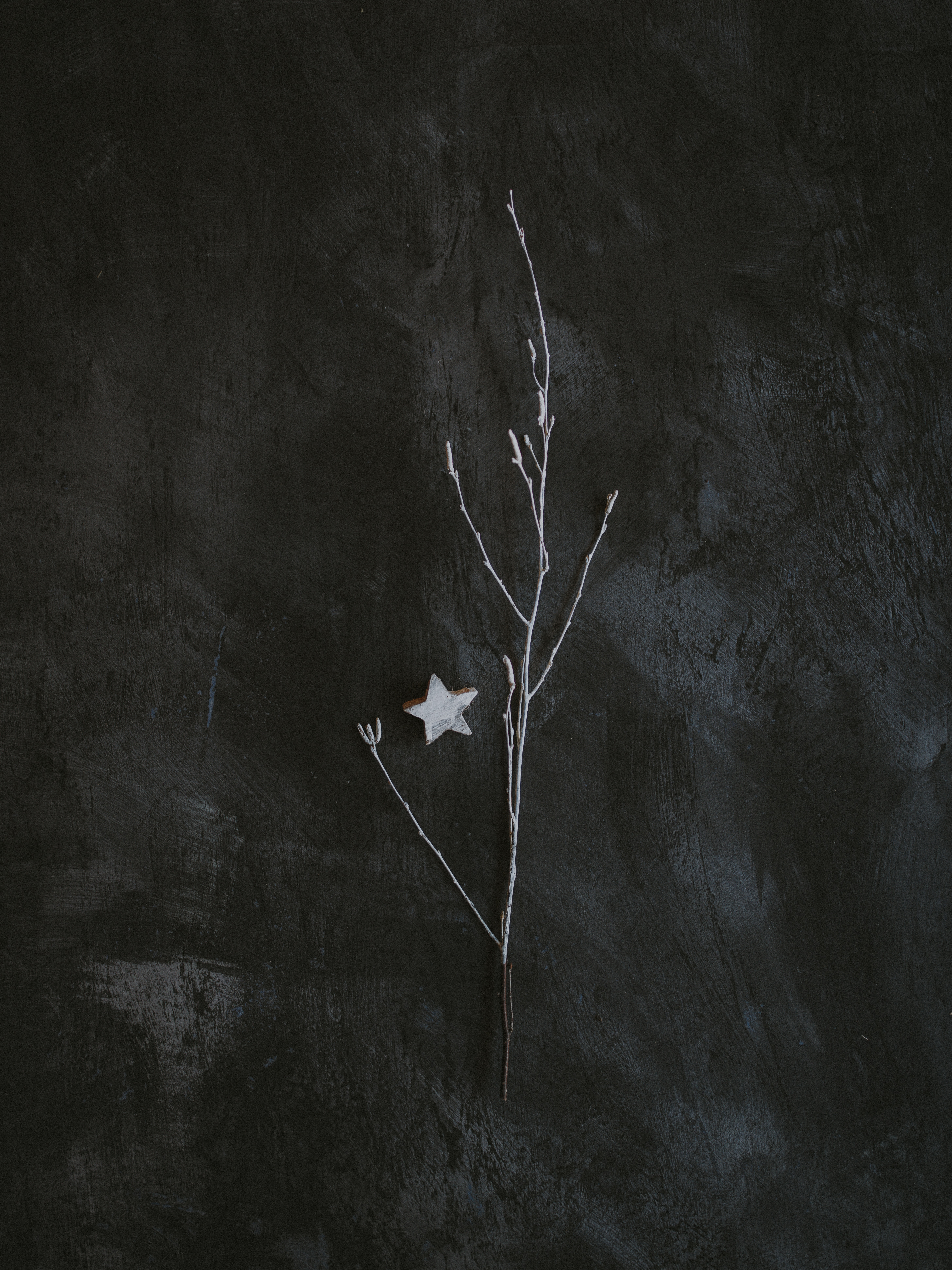 69119 download wallpaper minimalism, miscellanea, miscellaneous, branch, grey, star screensavers and pictures for free