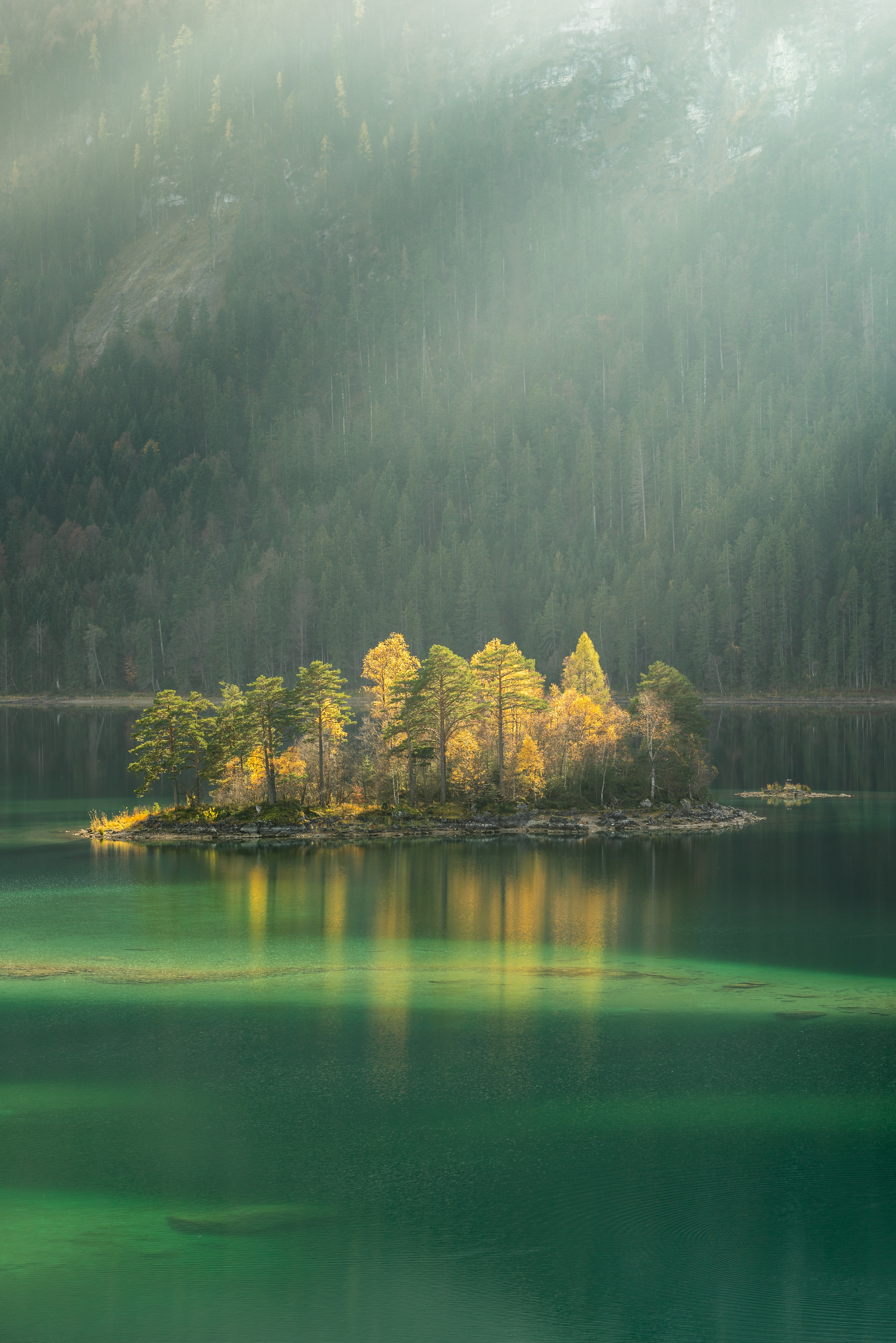 fog, nature, lake, trees Panoramic Wallpapers