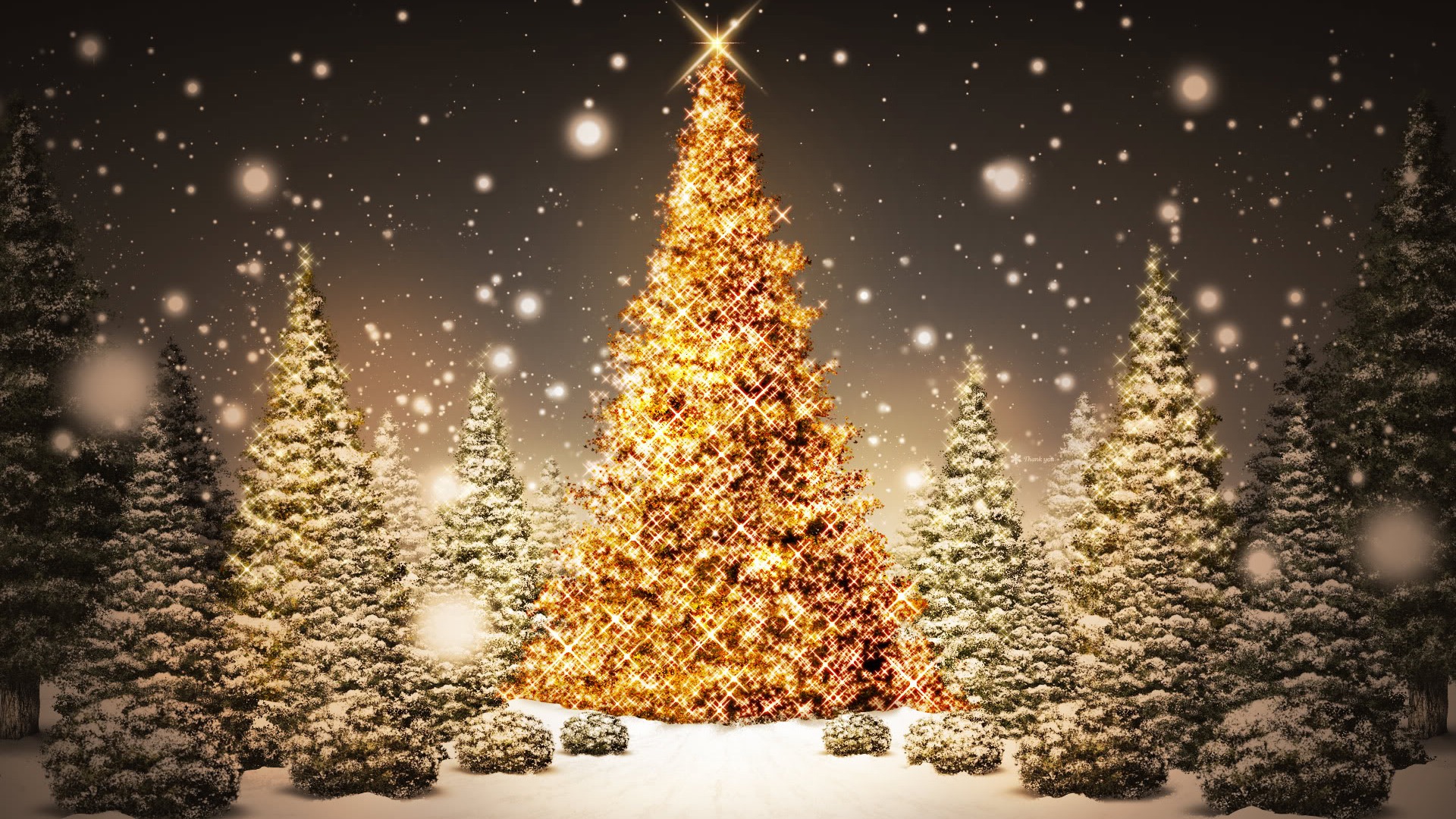 162962 завантажити шпалери сніг, різдвяні вогники, різдво, різдвяна ялинка, свято - заставки і картинки безкоштовно