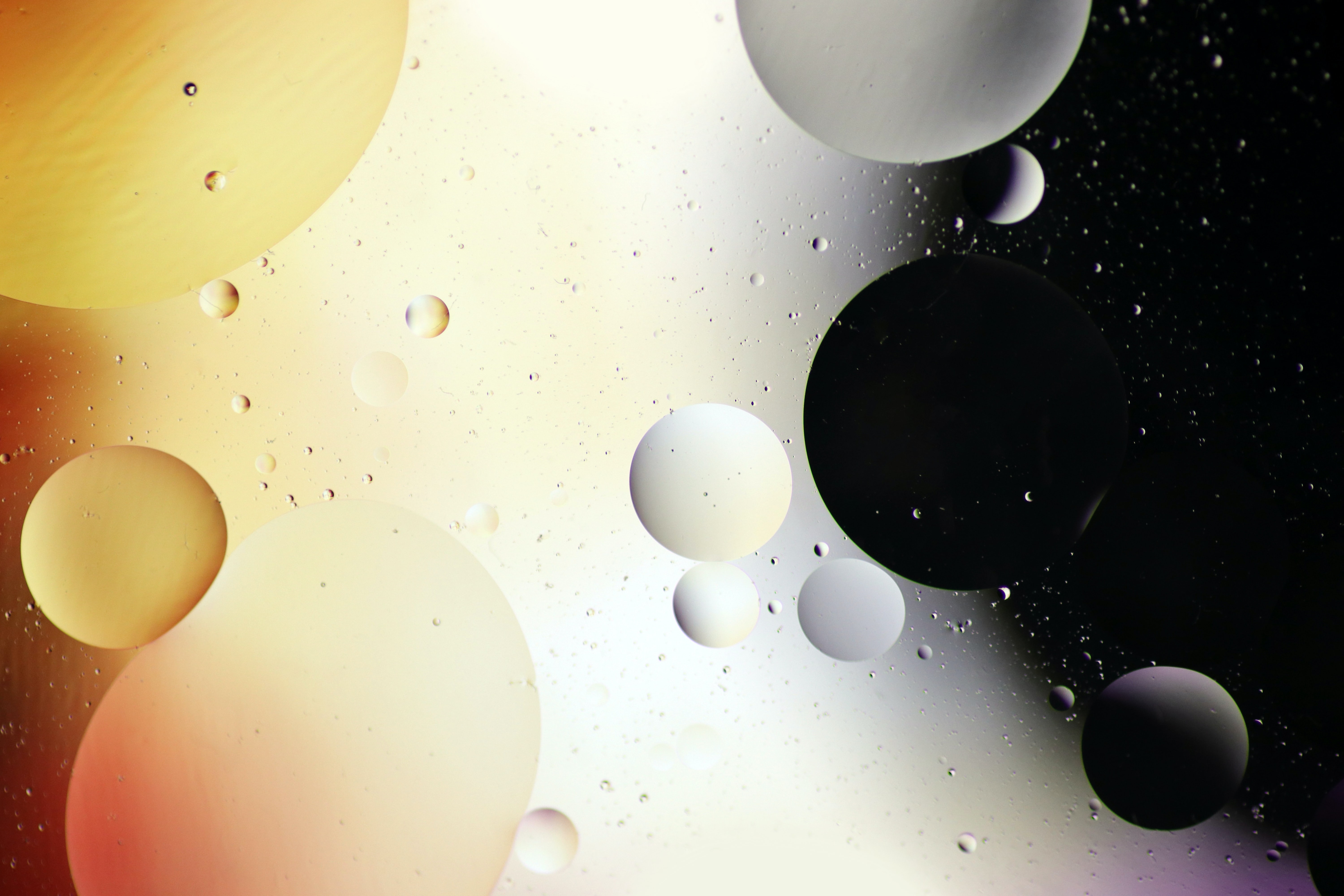 bubbles, gradient, abstract, water, black, circles 32K