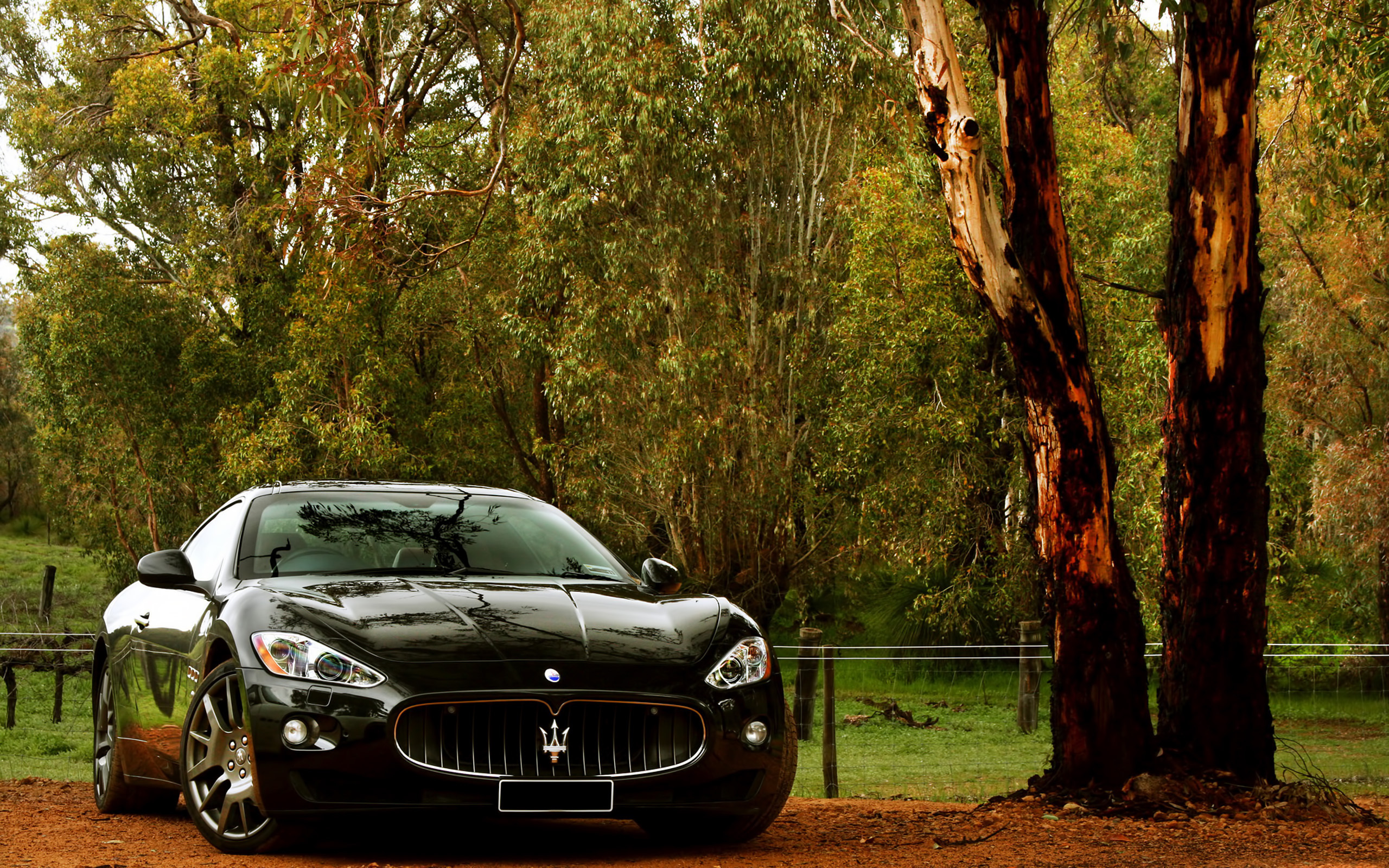 25988 Hintergrundbilder und Maserati Bilder auf dem Desktop. Laden Sie transport, auto, gelb Bildschirmschoner kostenlos auf den PC herunter