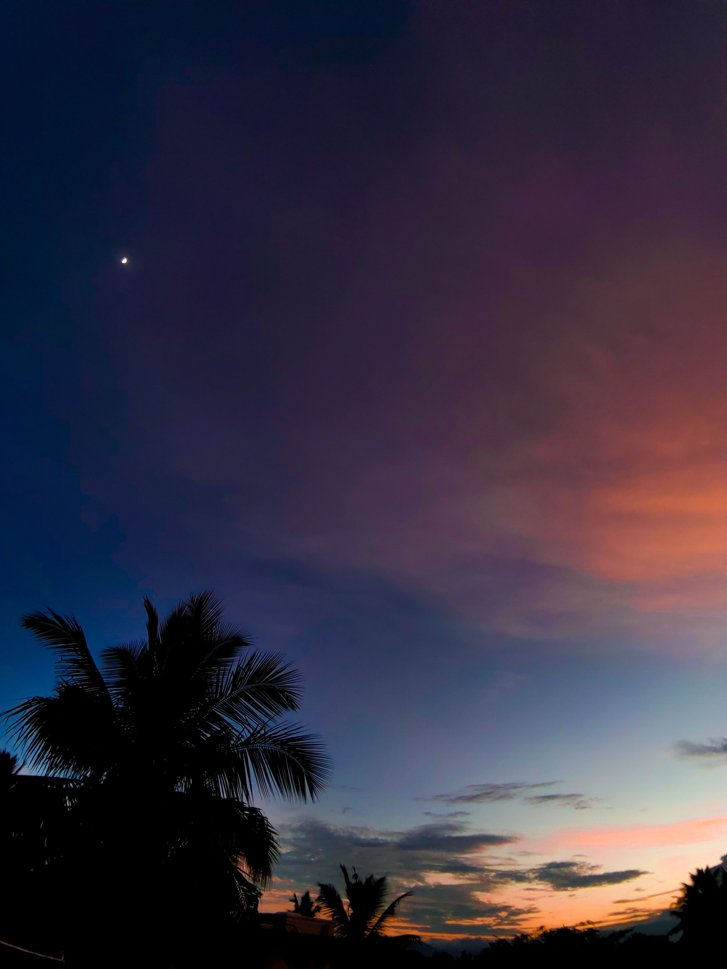 night, sunset, nature, clouds, palm, tropics