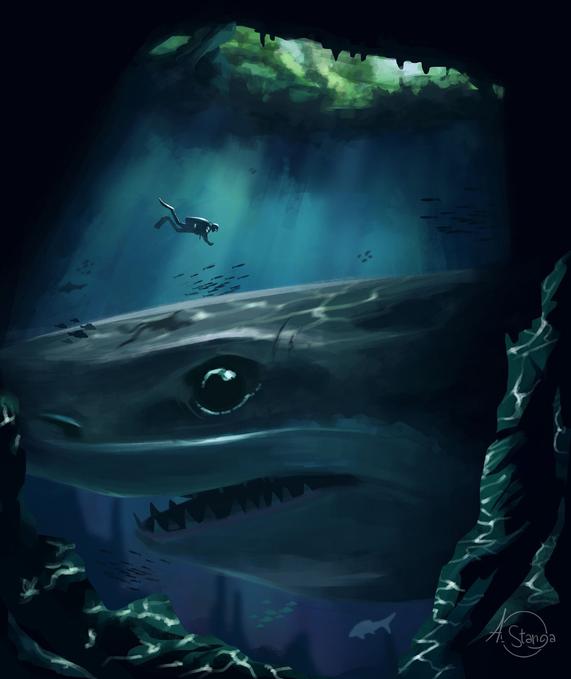 Download mobile wallpaper: Underwater, Under Water, Shark, Diver, Depth ...