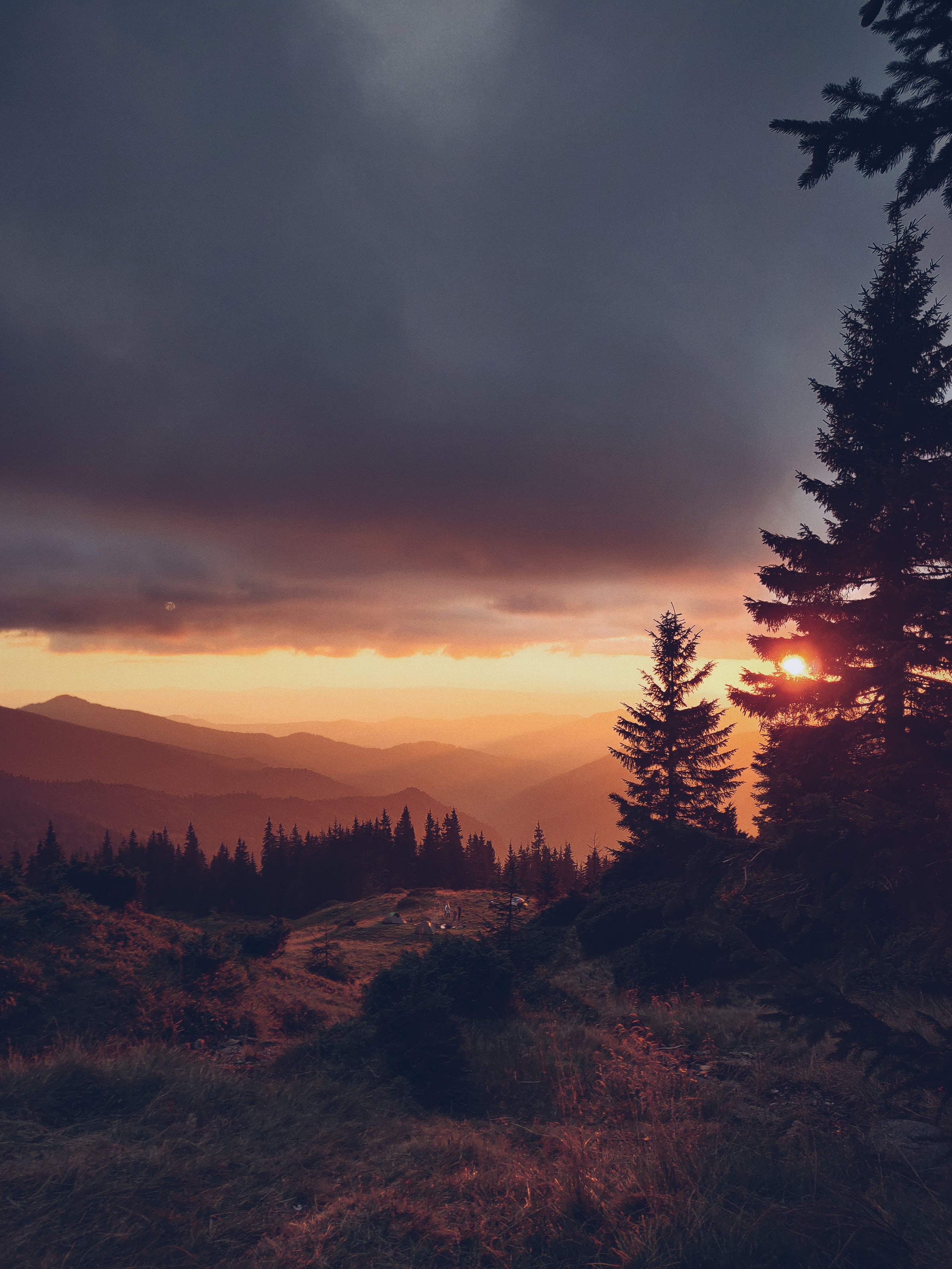 Laden Sie das Natur, Sunset, Mountains, Sun, Fir, Fichte, Dahl, Distanz-Bild kostenlos auf Ihren PC-Desktop herunter