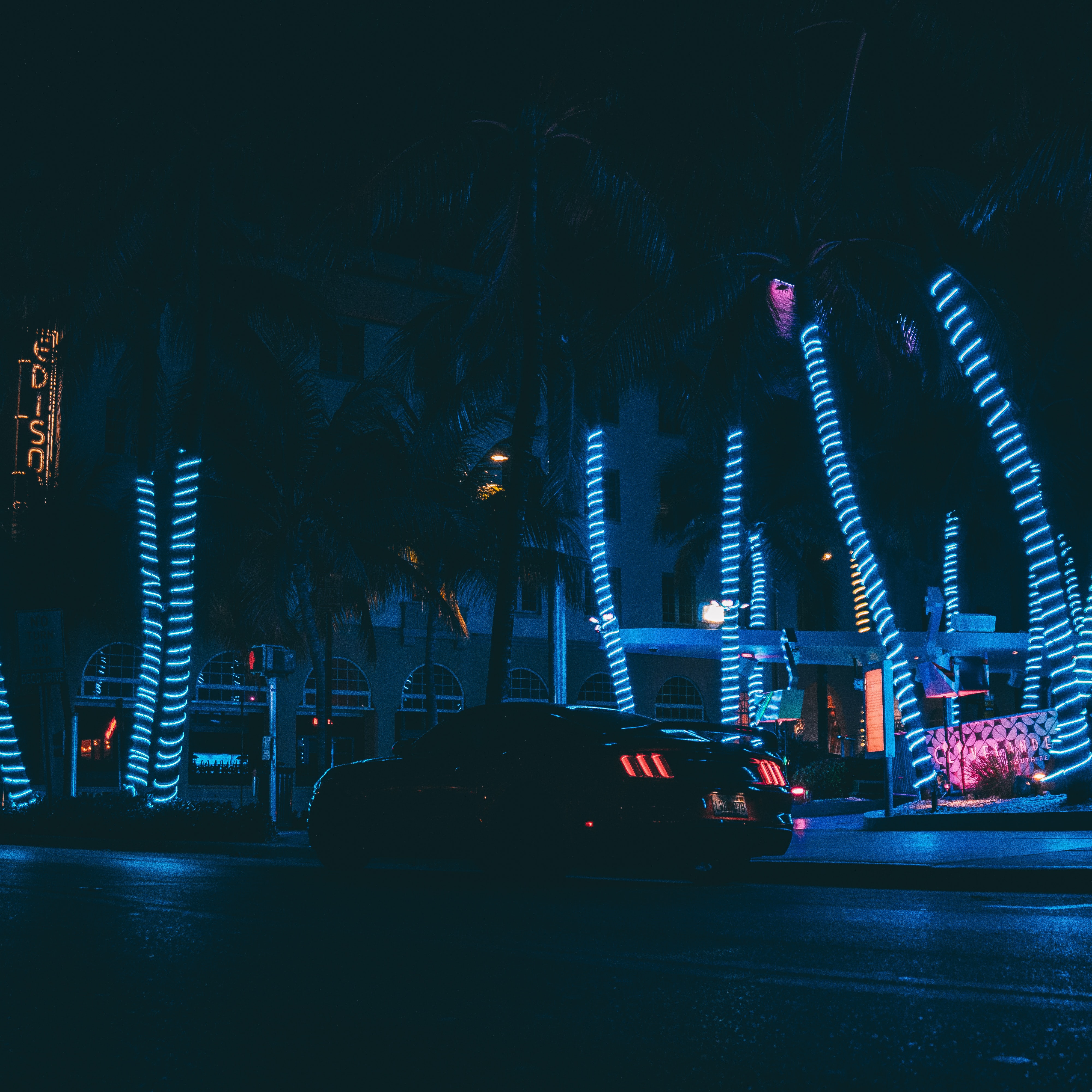 1080p pic night city, neon, sports car, palms
