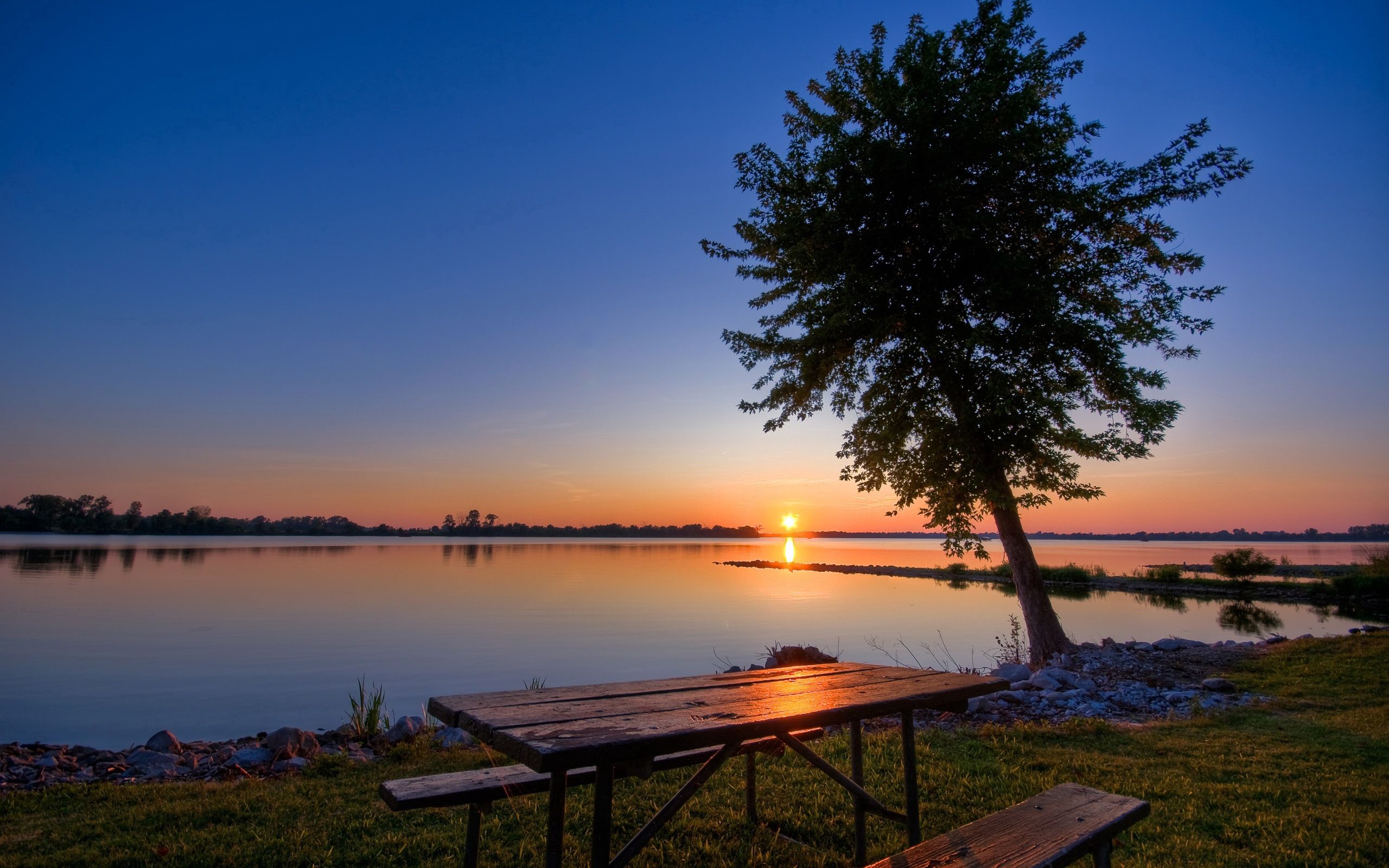 romance, nature, sunset, lake, shore, bank, wood, tree, evening, table, benches QHD