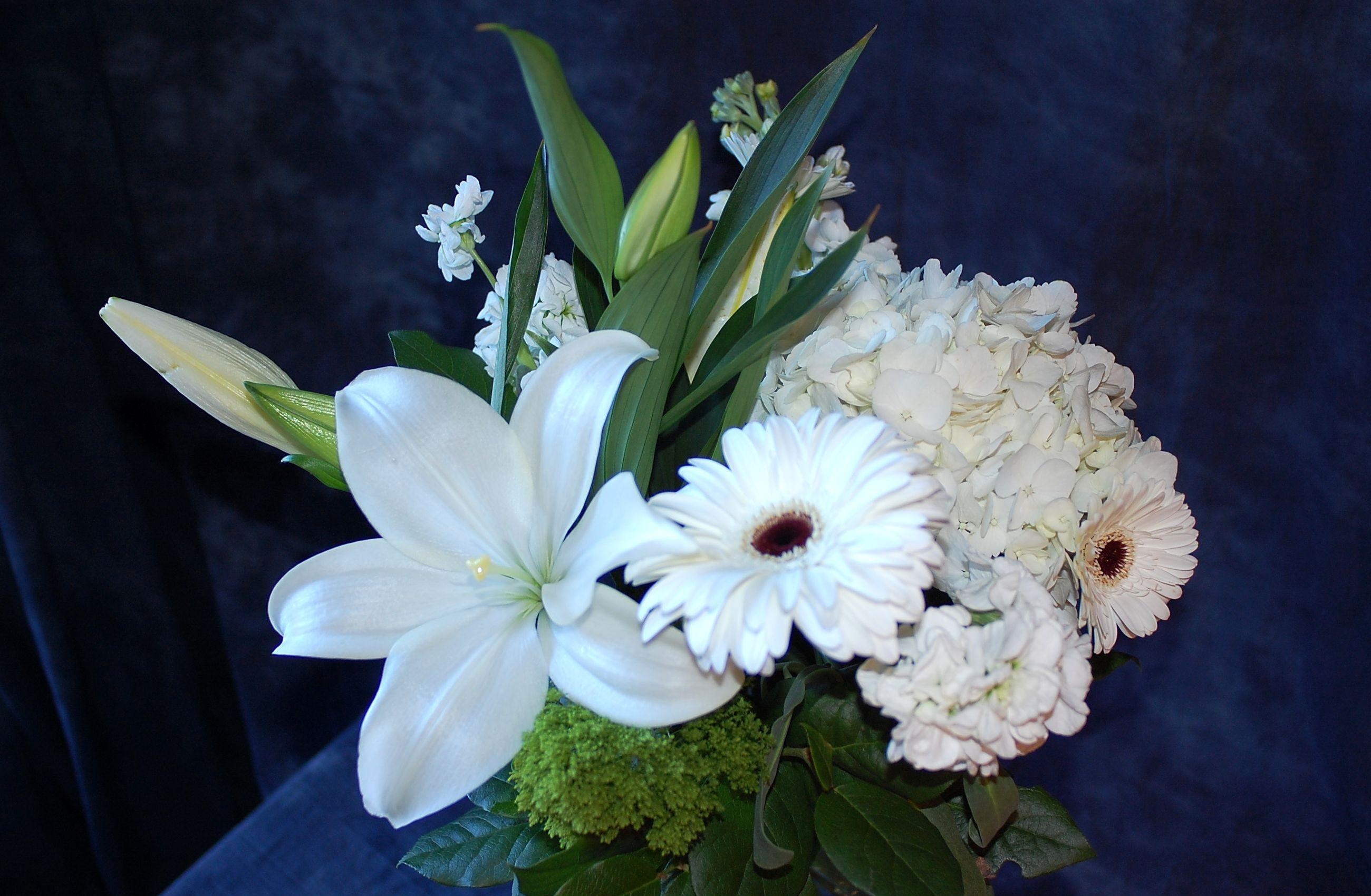 bouquet, lilies, snow white, hydrangea HD Mobile