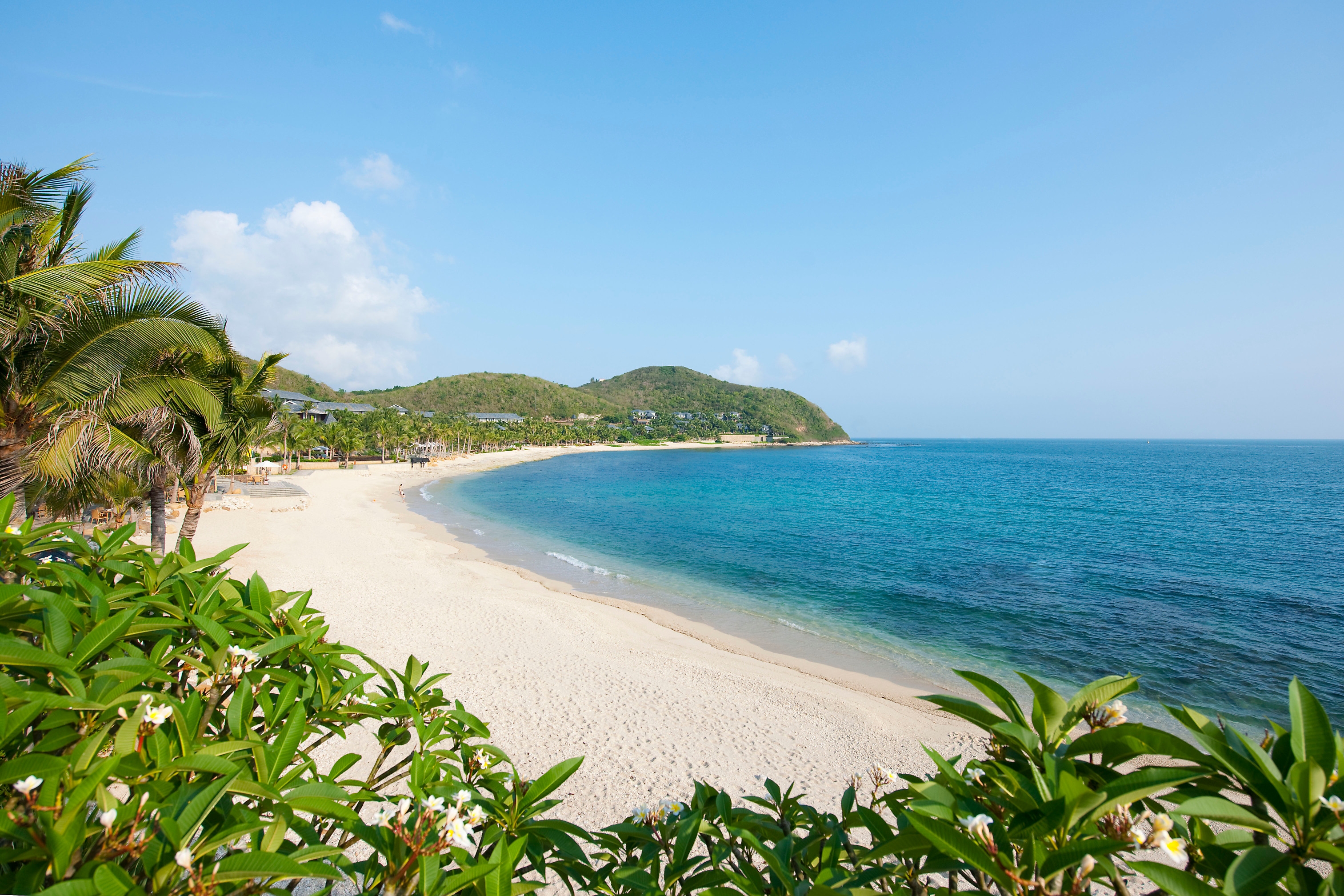 tropics, relaxation, shore, bank, rest, palms, nature, beach download HD wallpaper
