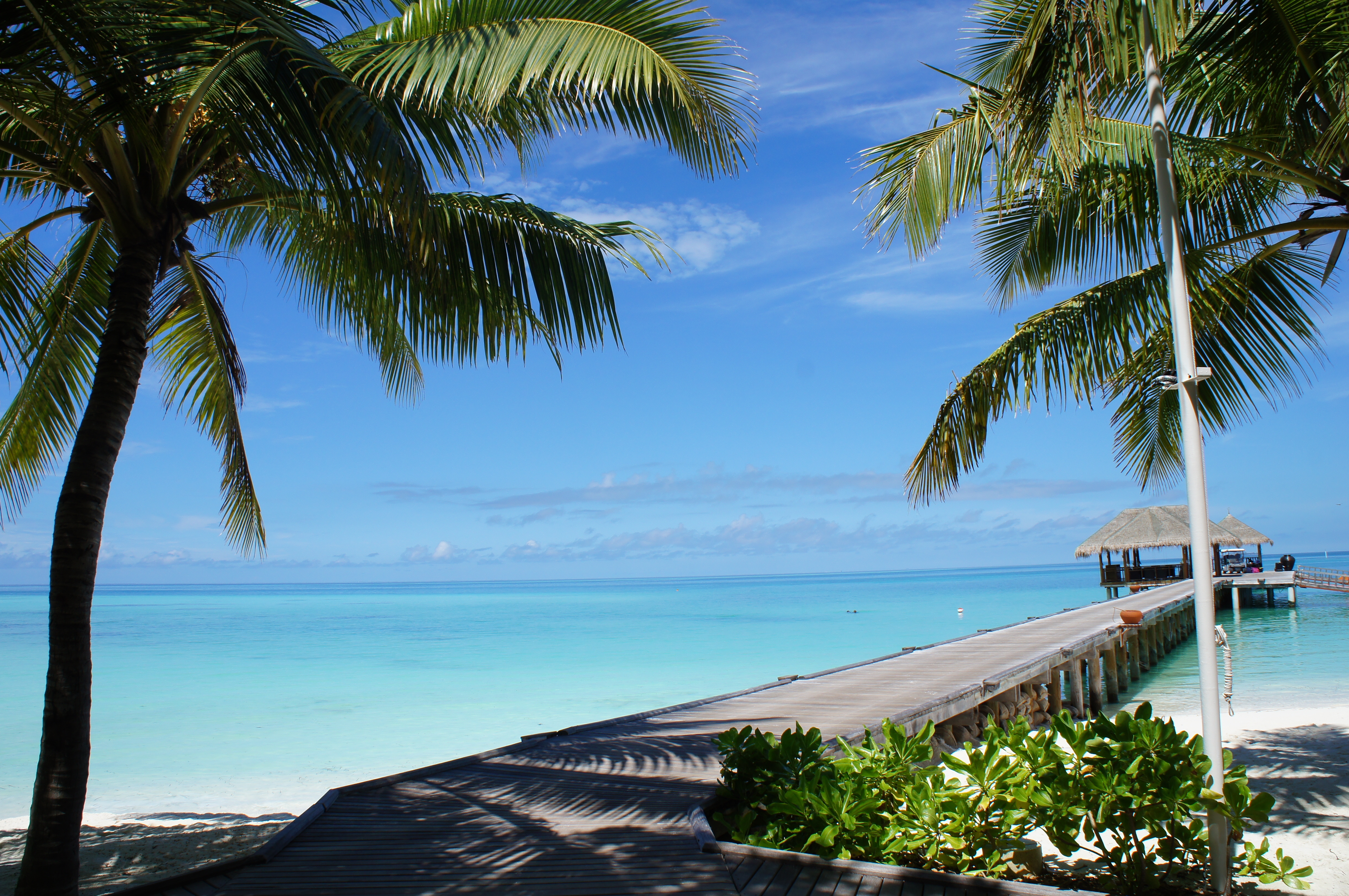 89947 Bildschirmschoner und Hintergrundbilder Malediven auf Ihrem Telefon. Laden Sie strand, natur, tropen, hübsch, es ist wunderschön, malediven Bilder kostenlos herunter