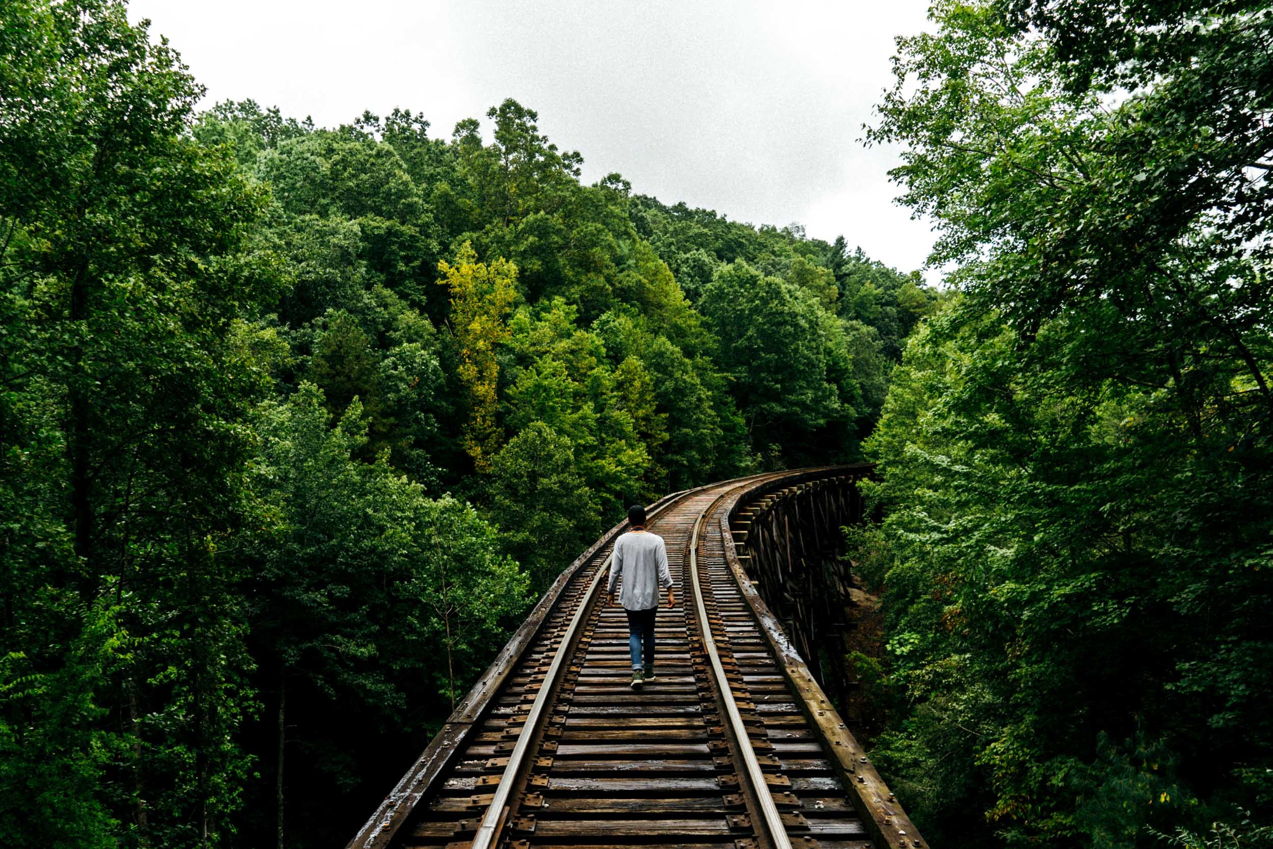 railway, nature, trees, stroll, human, person
