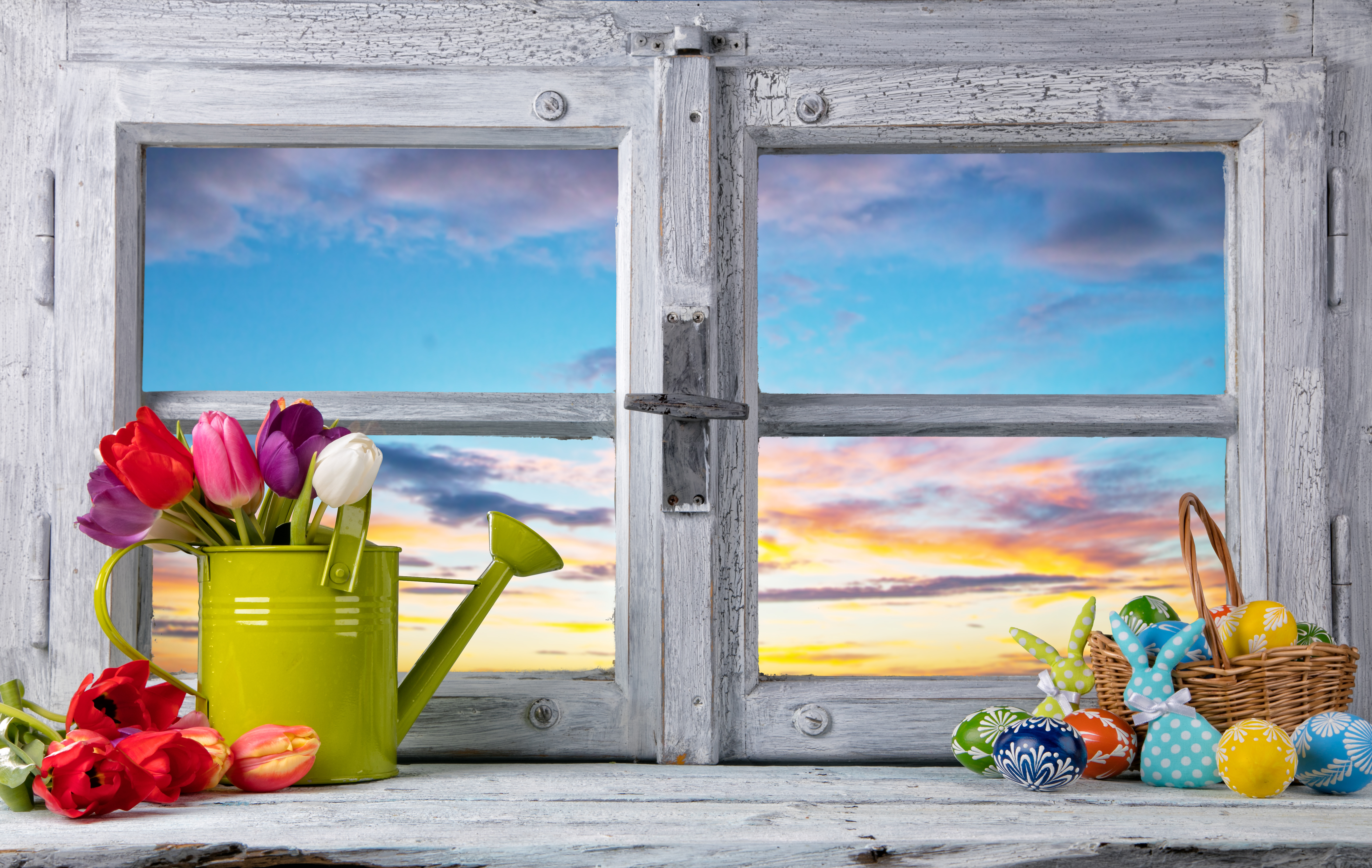 flower, tulip, window, sunset Cell Phone Image