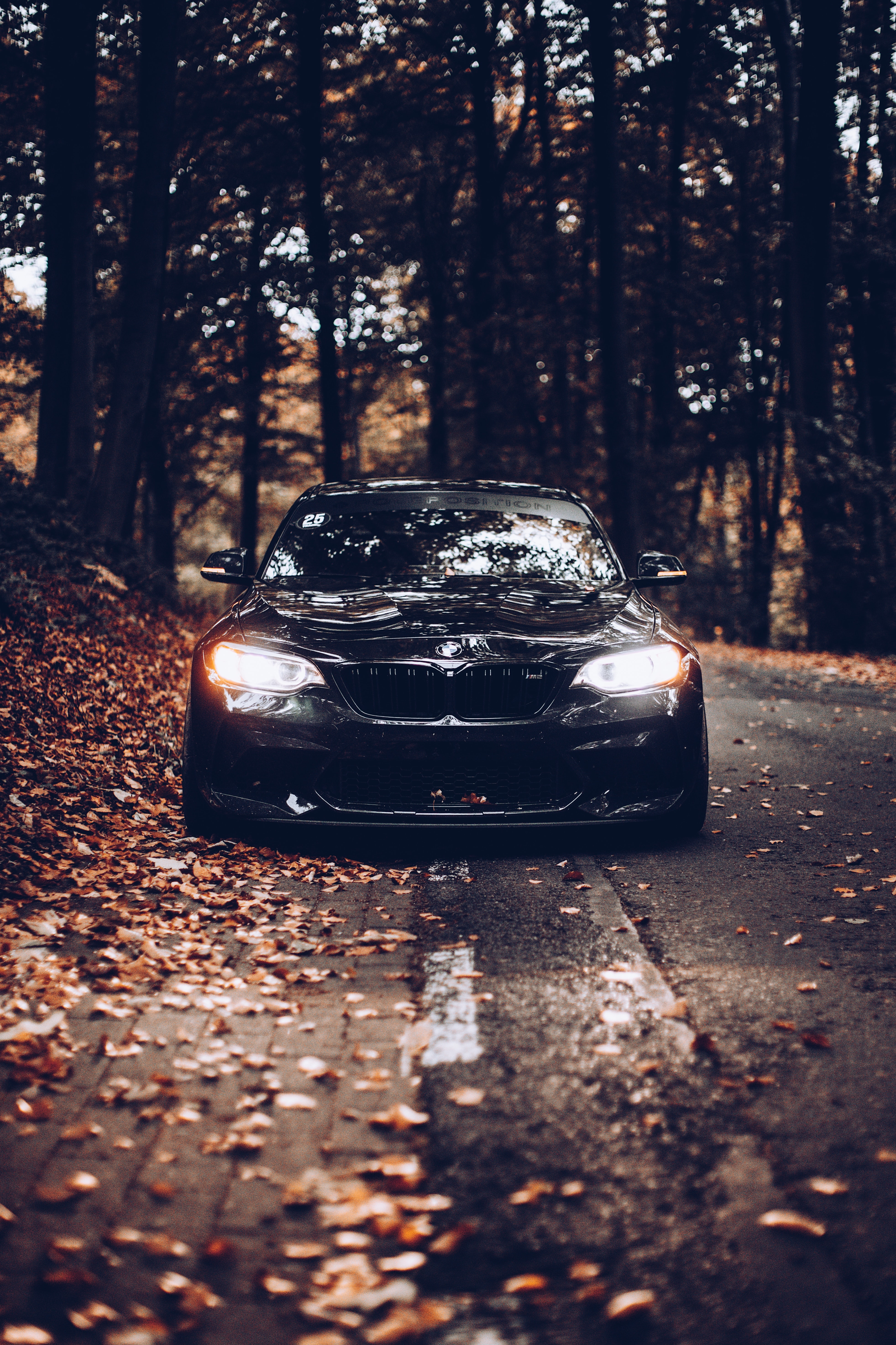 112429 download wallpaper autumn, bmw, cars, black, car, front view screensavers and pictures for free