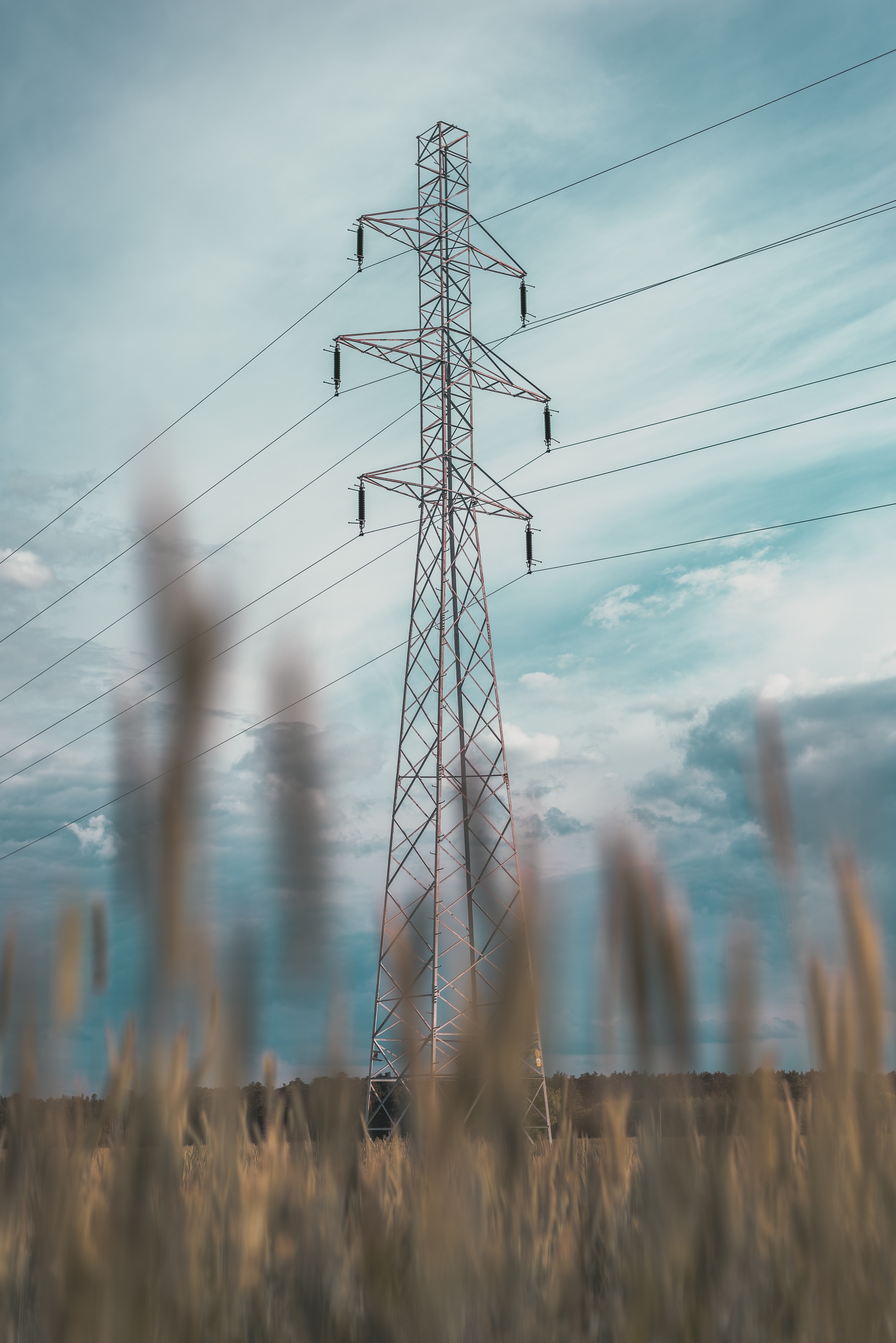 Wires wire, sky, construction, grass Free Stock Photos