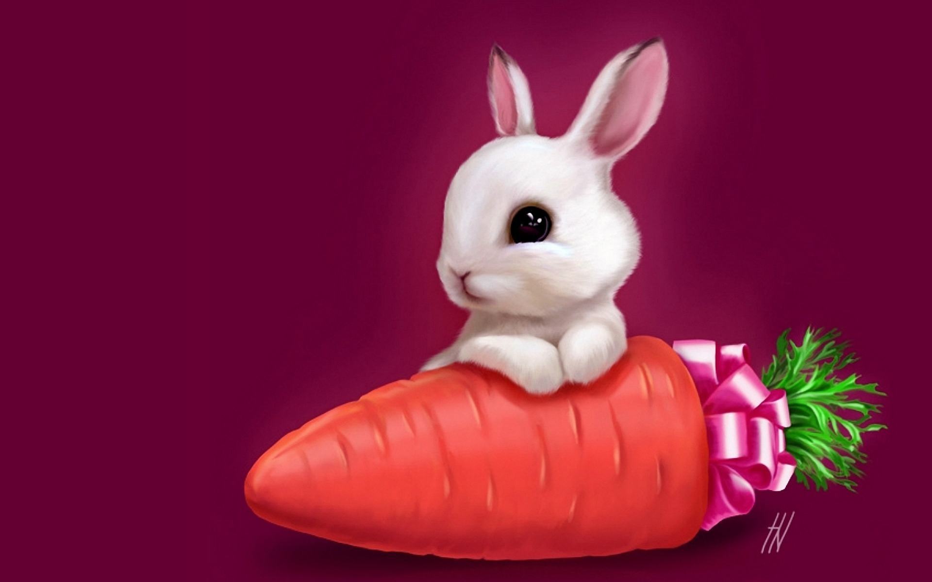 Laden Sie das Tiere, Kaninchen, Bilder-Bild kostenlos auf Ihren PC-Desktop herunter