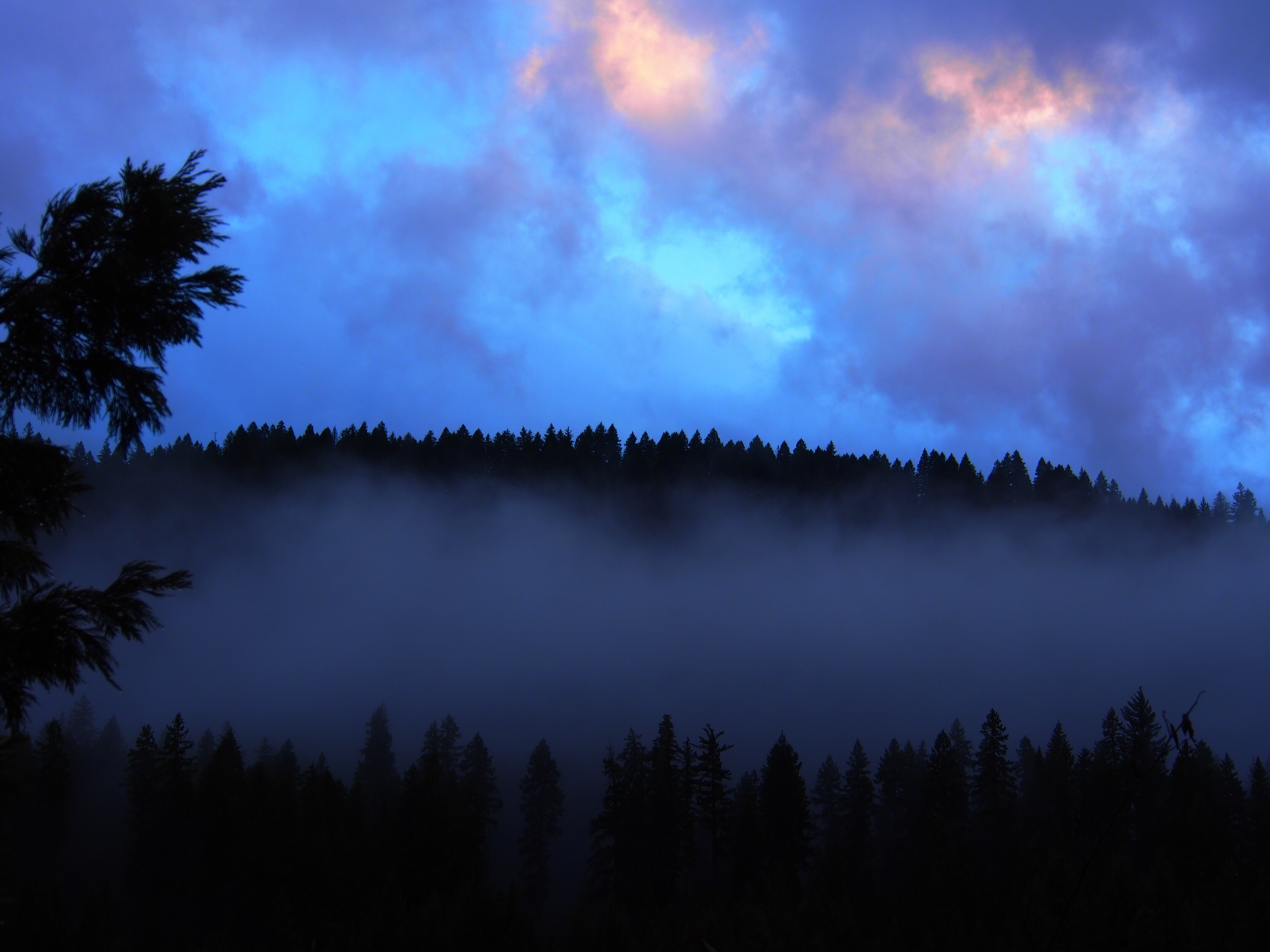 157006 Bild herunterladen dämmerung, natur, clouds, wald, nebel, twilight - Hintergrundbilder und Bildschirmschoner kostenlos