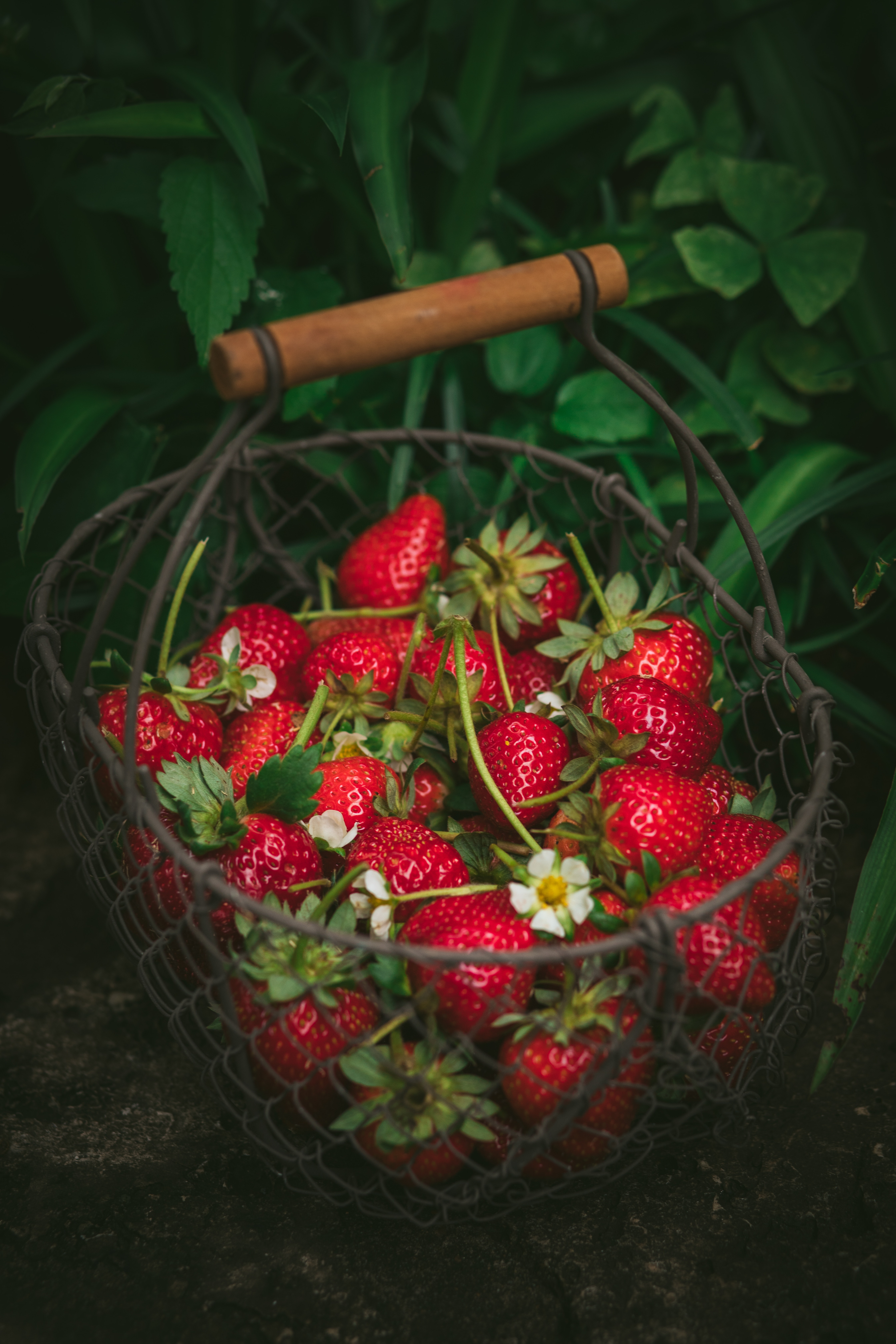 strawberry, food, berries, red, basket, ripe, fresh 1080p