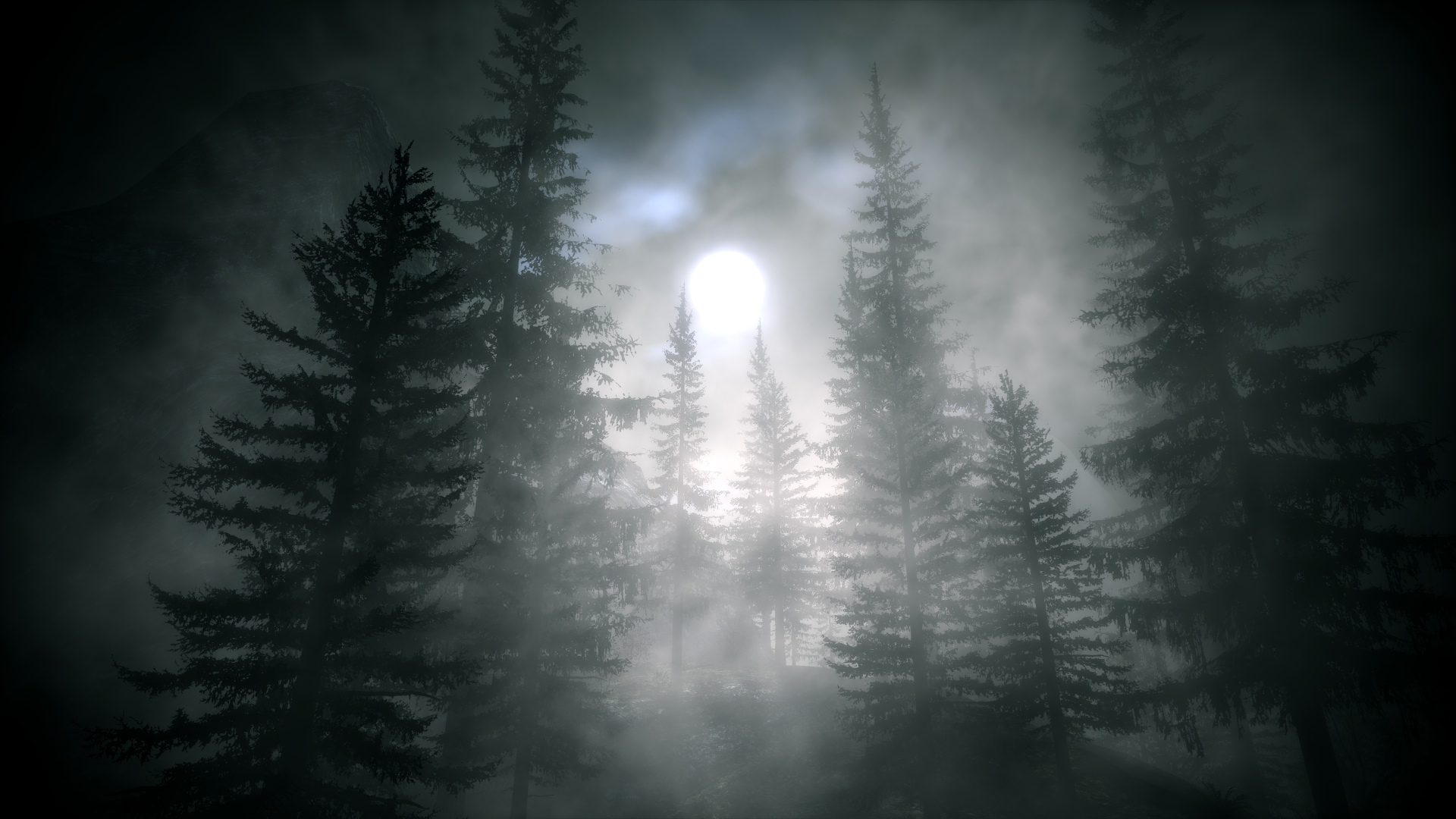 moonlight, artistic, nature, fog, forest, tree