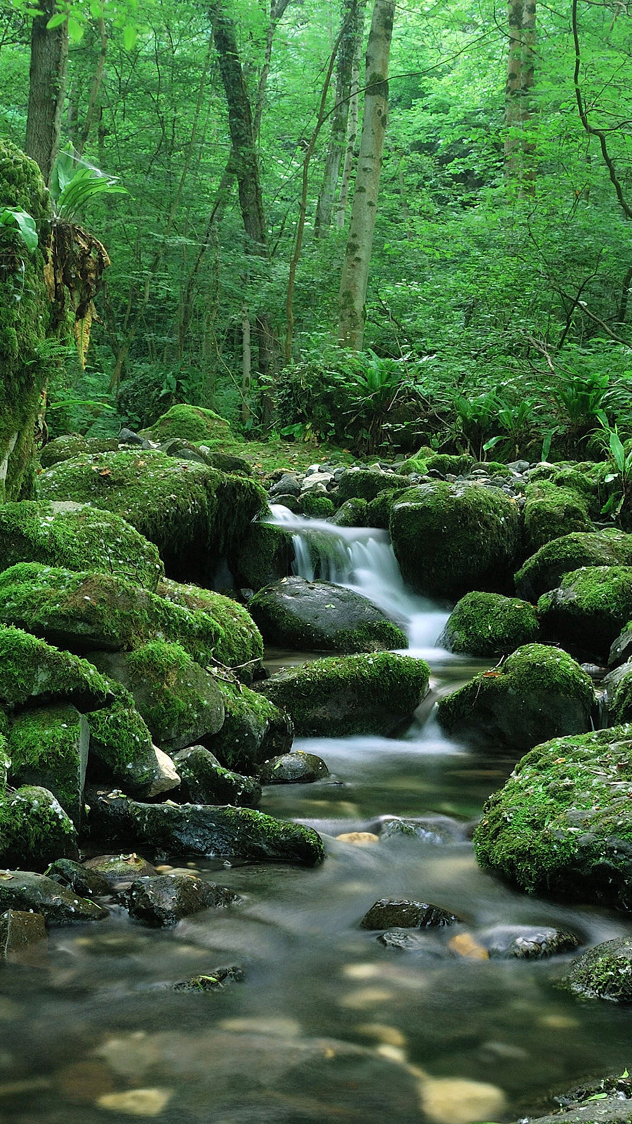 waterfall, stones, nature, moss Flow HD Android Wallpapers
