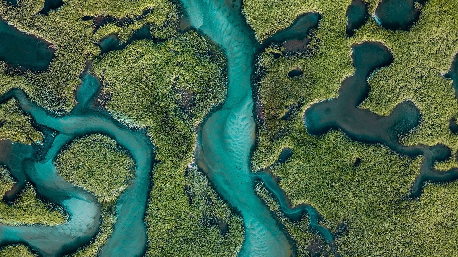 Какого цвета бывают реки