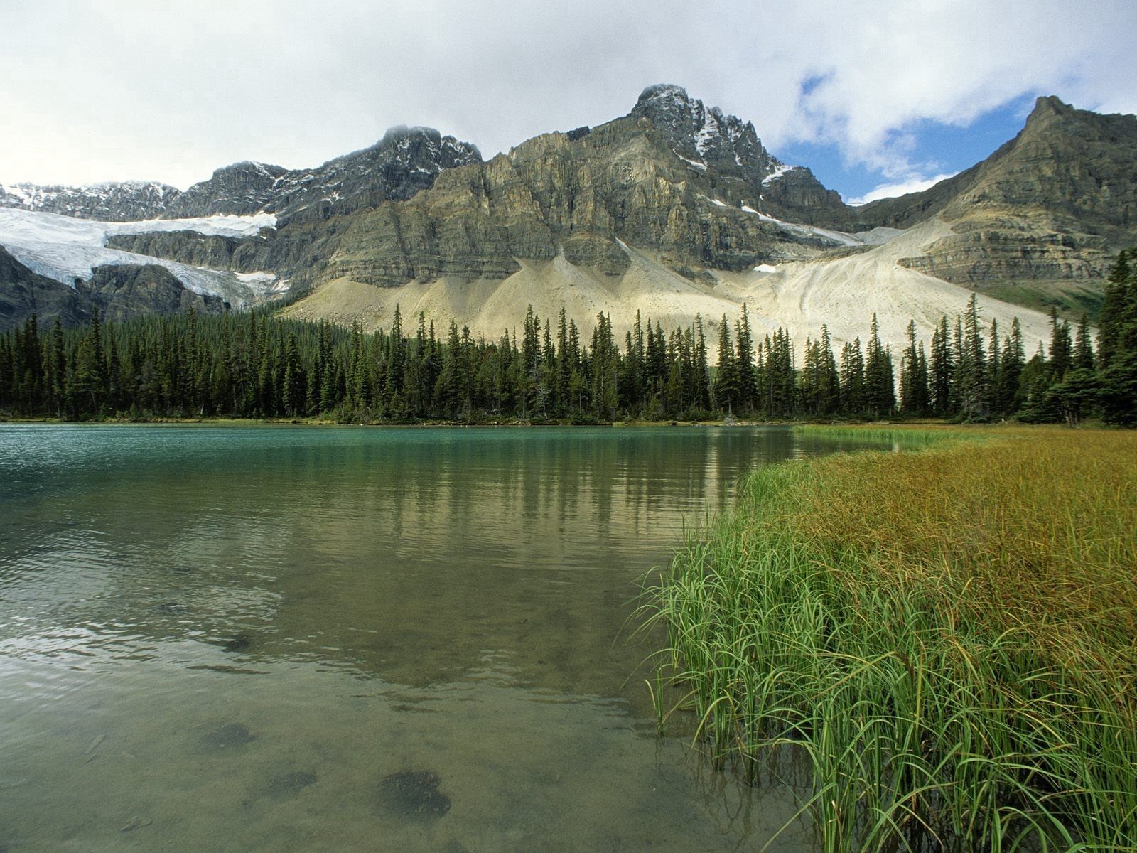 117711 скачать обои деревья, альберта, природа, трава, горы, озеро, канада, glacial lake - заставки и картинки бесплатно