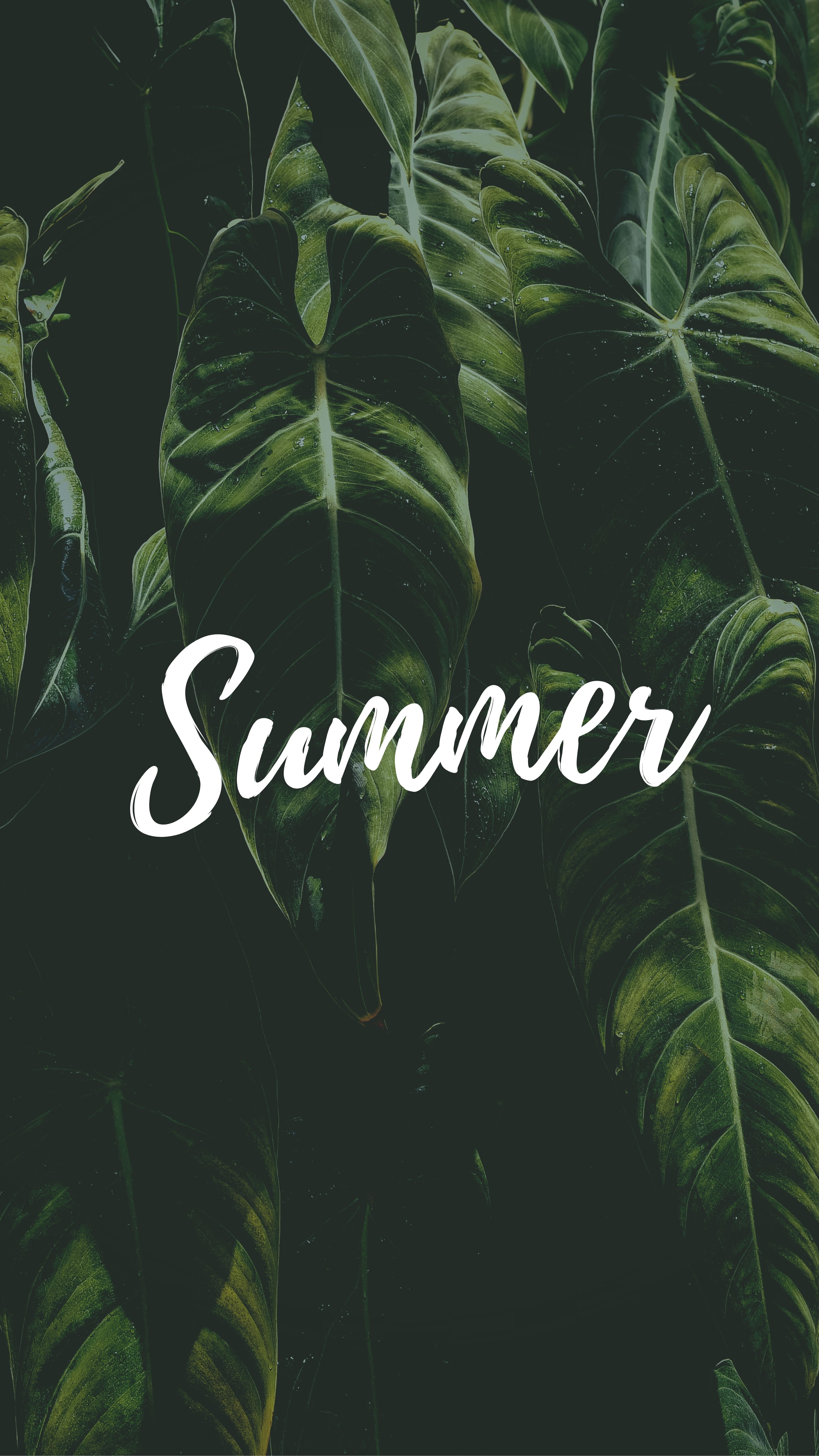 65034 download wallpaper leaves, summer, words, inscription, text, word screensavers and pictures for free