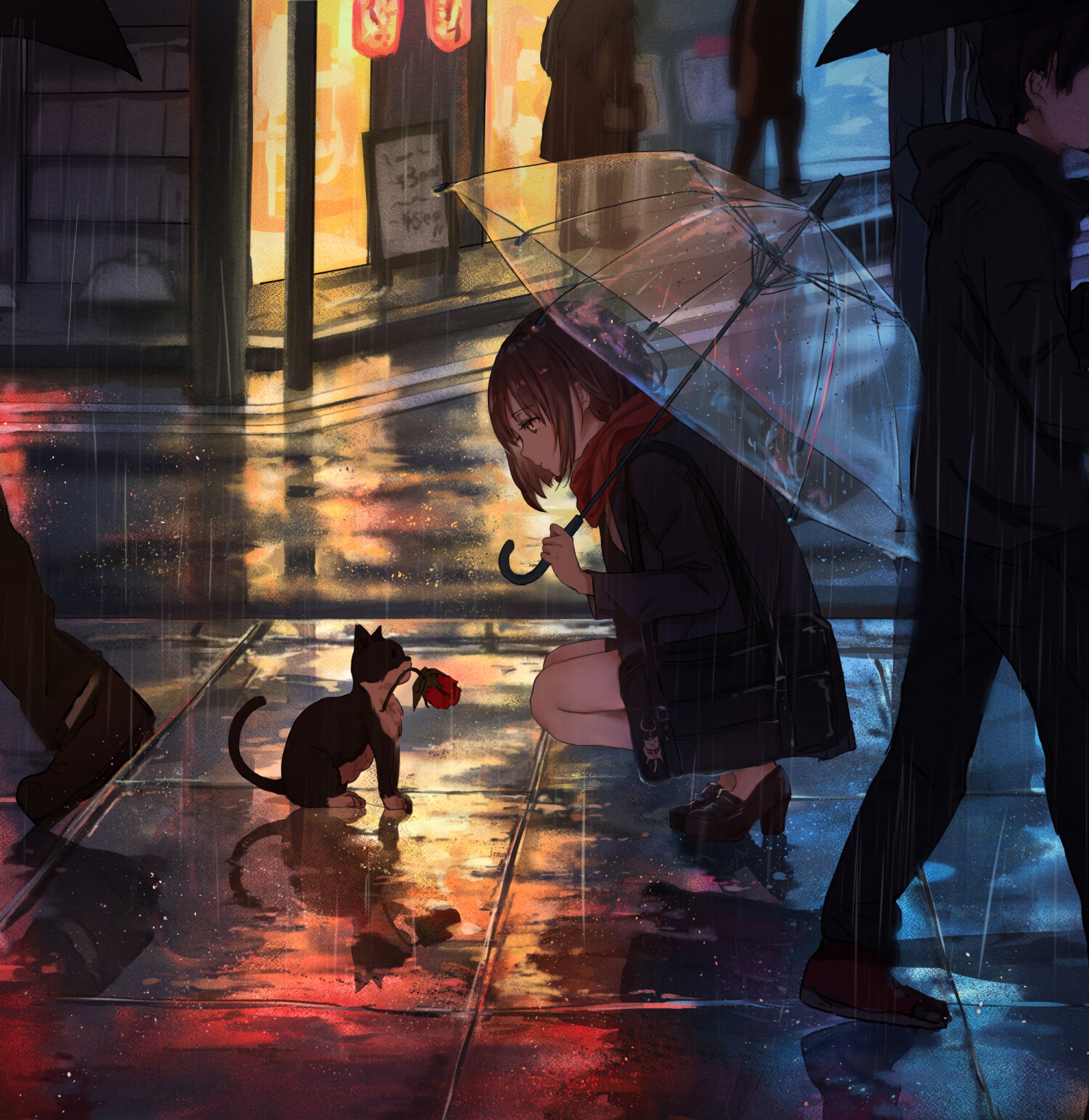 anime, girl, kitty, rain, flower, kitten, street