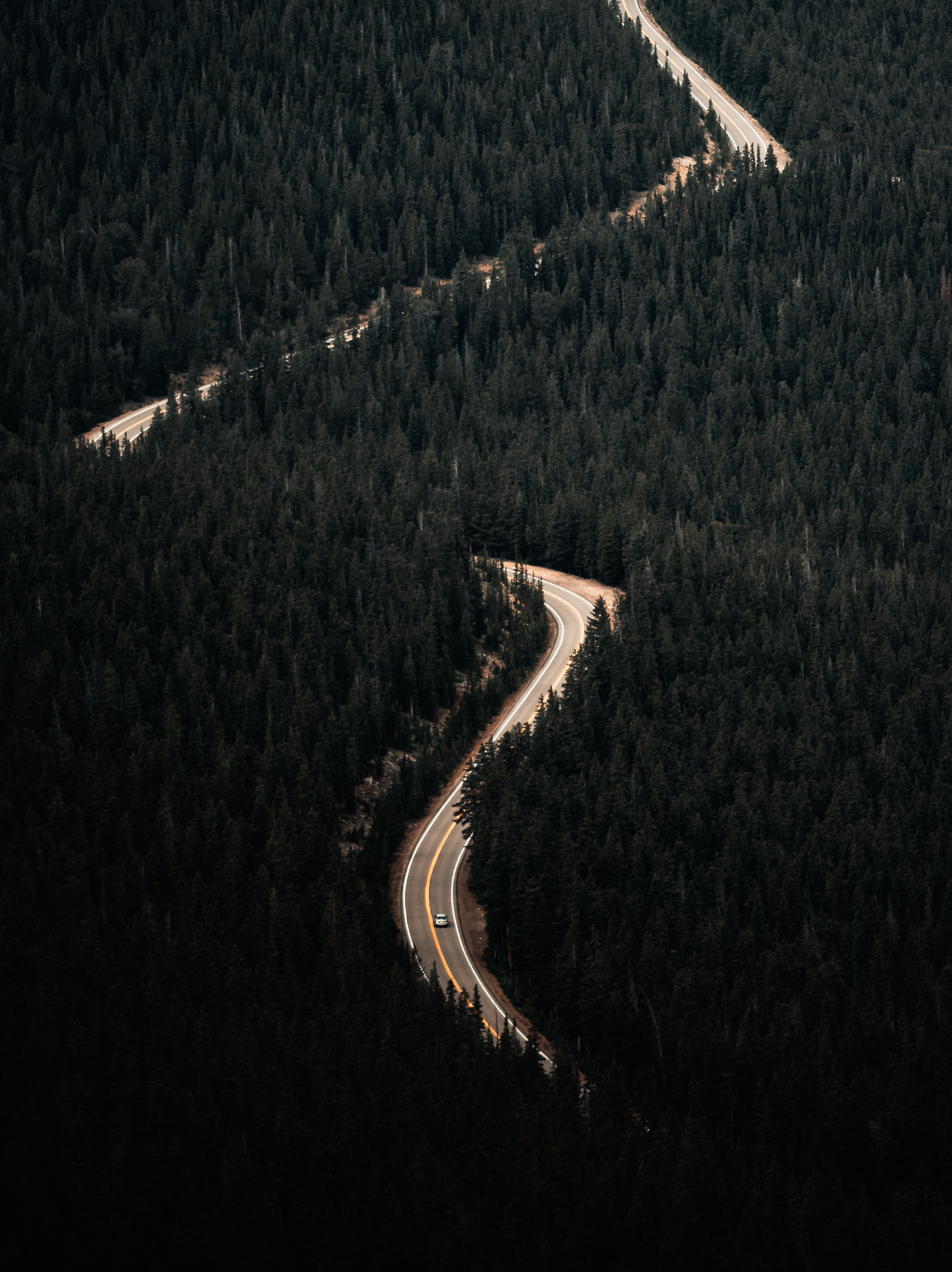 Smartphone Background car, forest, view from above, nature