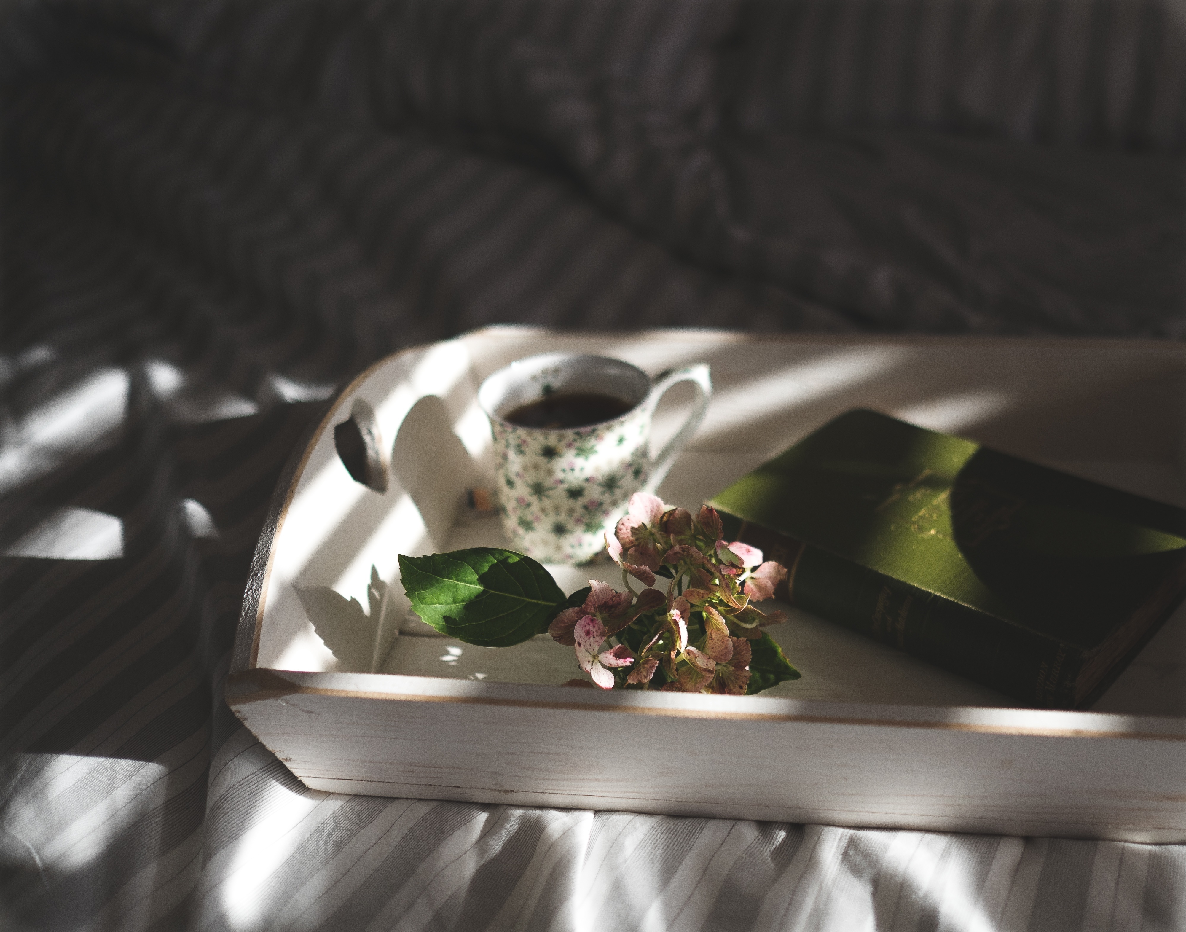 Phone Wallpaper (No watermarks) morning, miscellaneous, flower, book