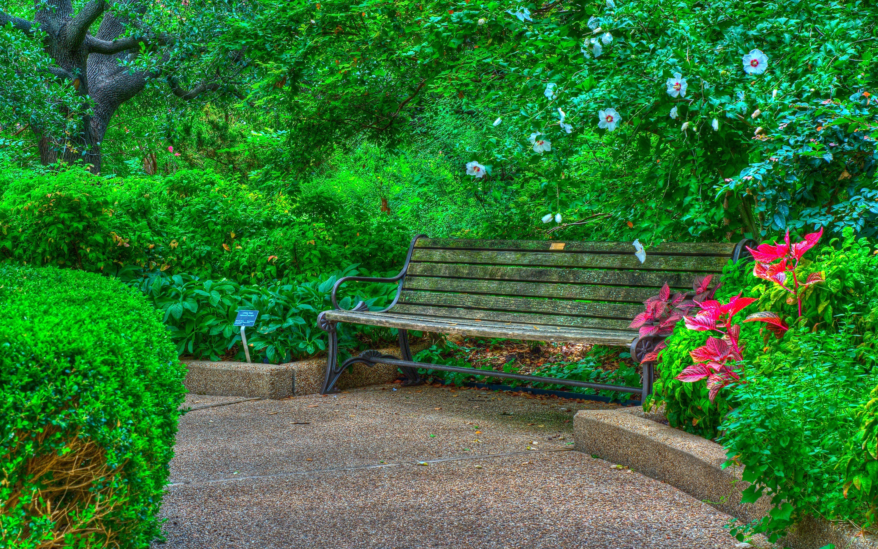 HD desktop wallpaper: Flower, Park, Hdr, Bench, Spring, Photography  download free picture #747611