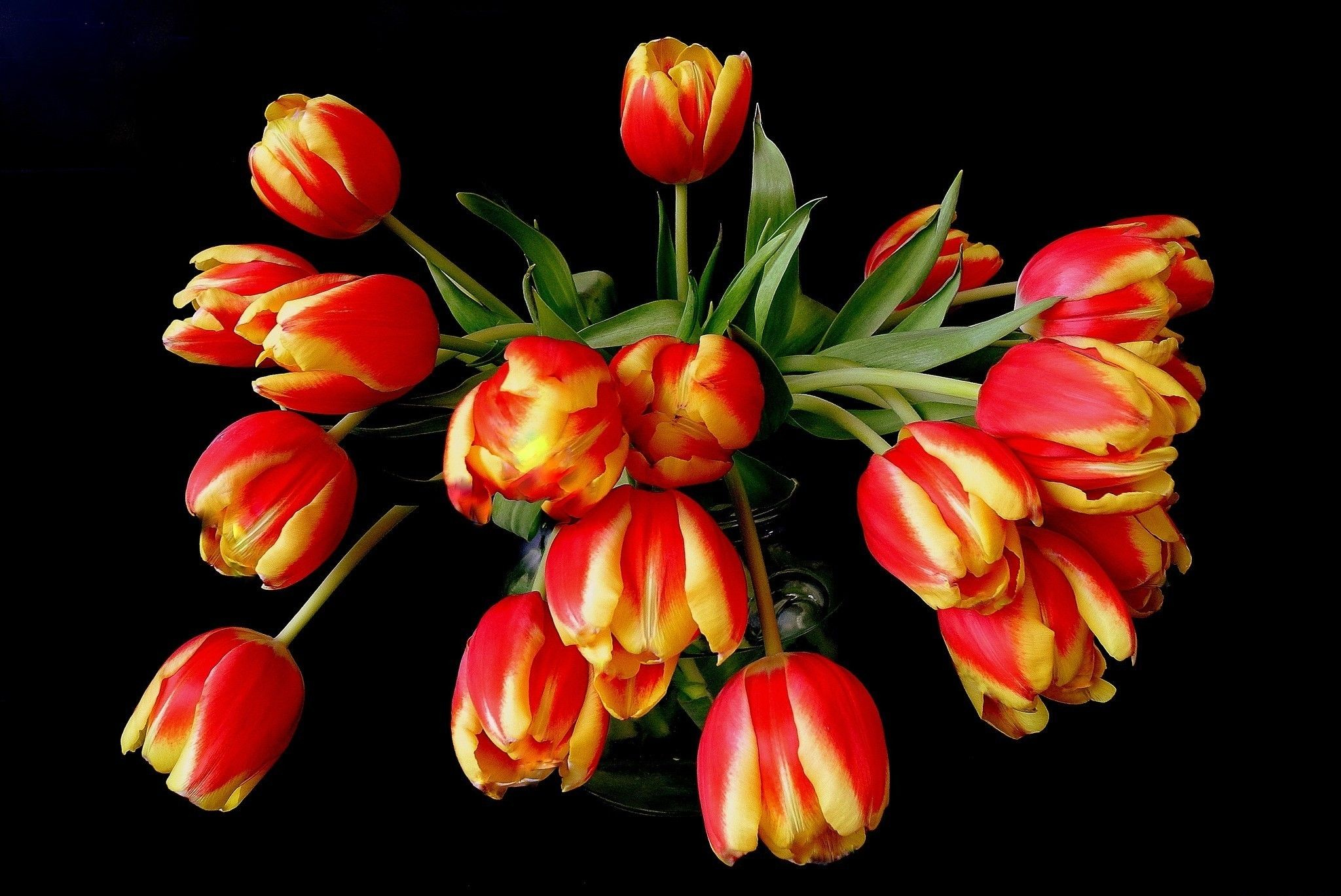 755956 завантажити шпалери ваза, тюльпан, створено людиною, квітка - заставки і картинки безкоштовно