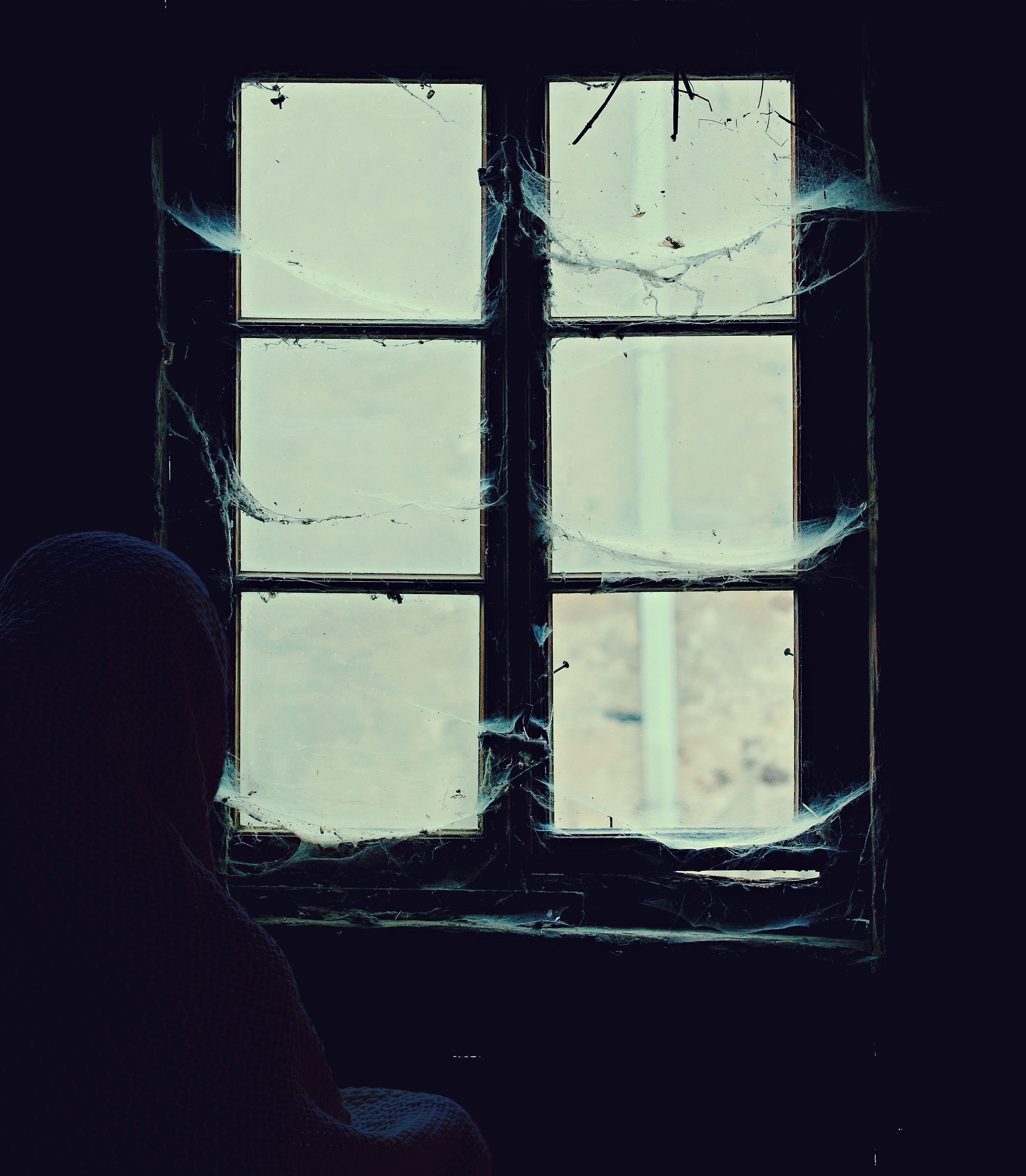 abandoned, alone, web, miscellanea, miscellaneous, window, loneliness, lonely, hopelessness, despair Smartphone Background