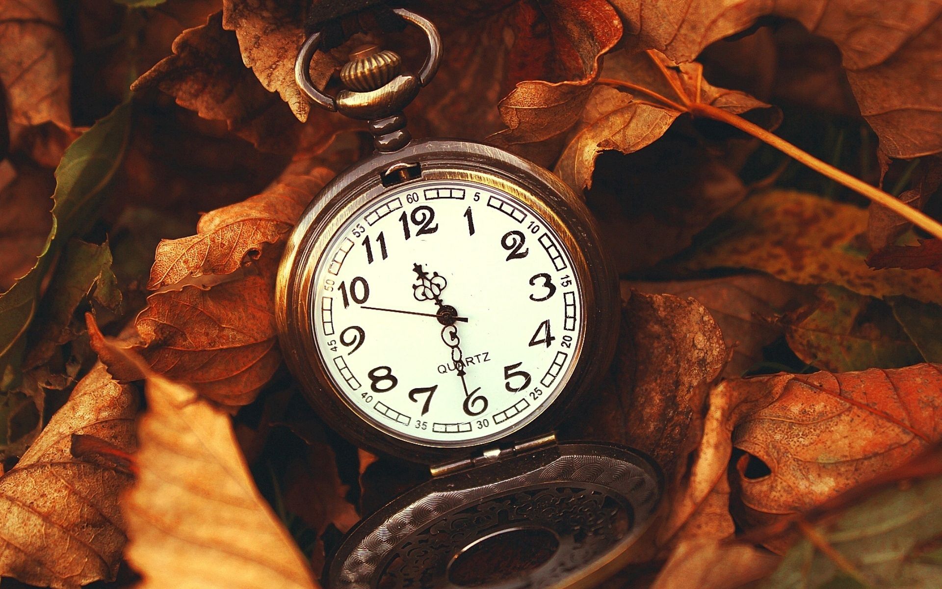 clock, time, miscellaneous, miscellanea, nature, leaves, macro, it's time 1080p