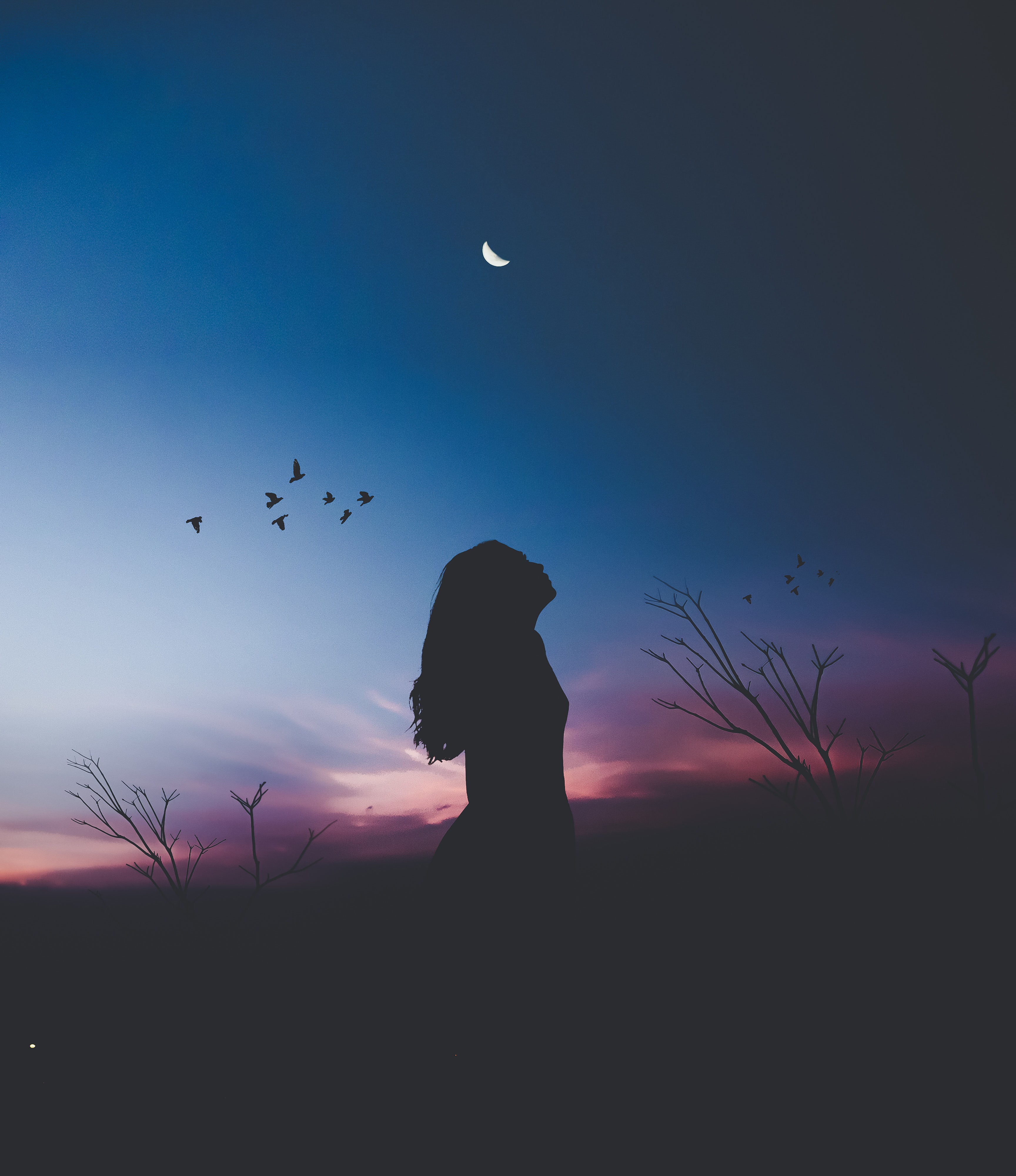 moon, loneliness, girl, dark, birds, night, silhouette, harmony High Definition image