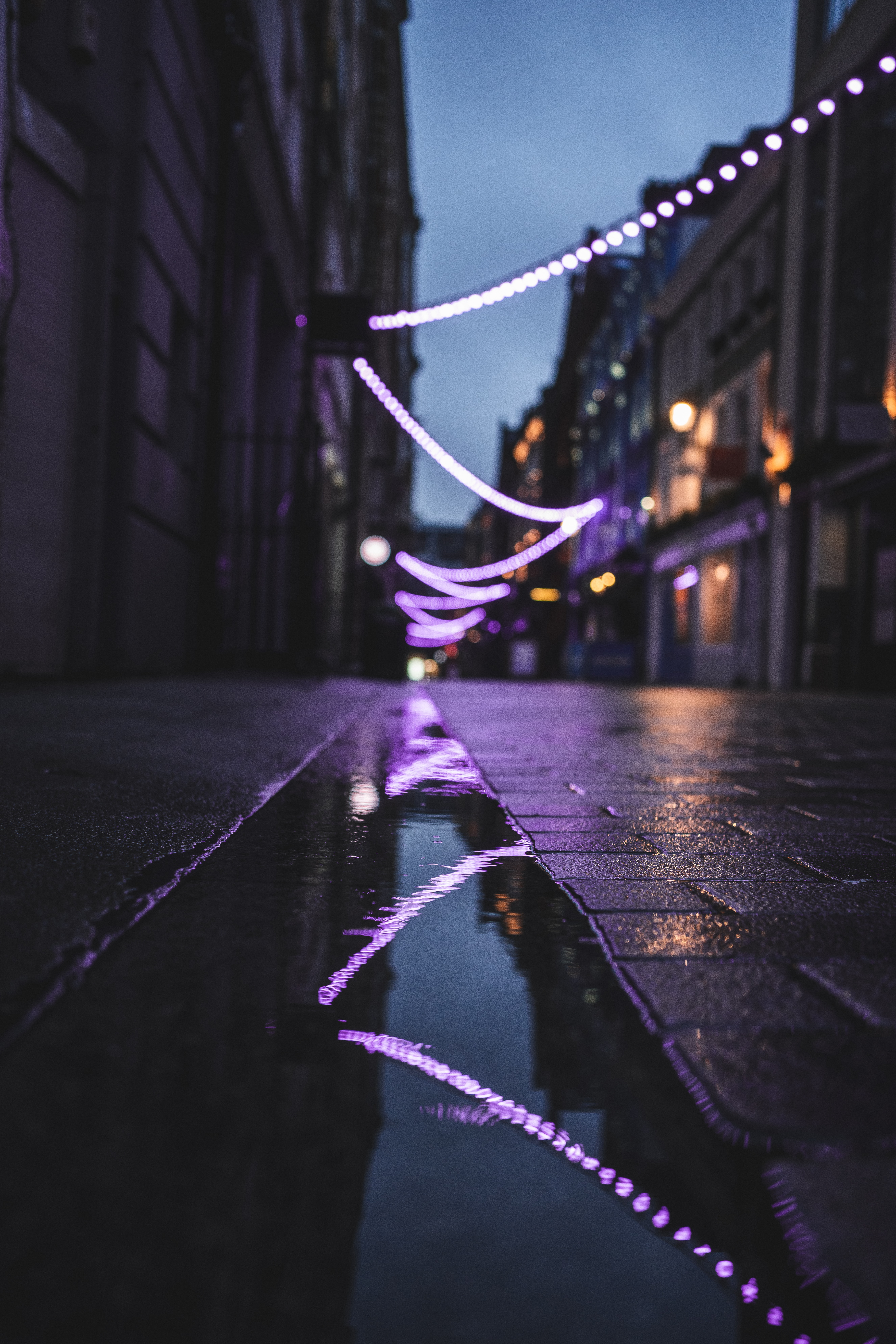 street, lights, reflection, miscellanea, miscellaneous, garland, puddle, garlands cell phone wallpapers