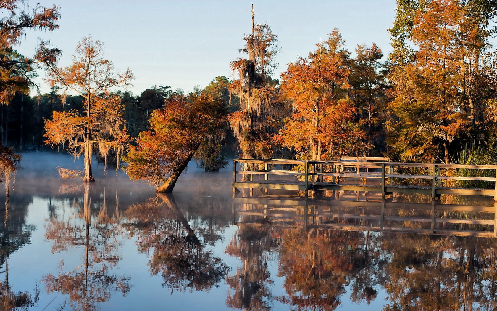 HD photos trees, underwater, autumn, lake